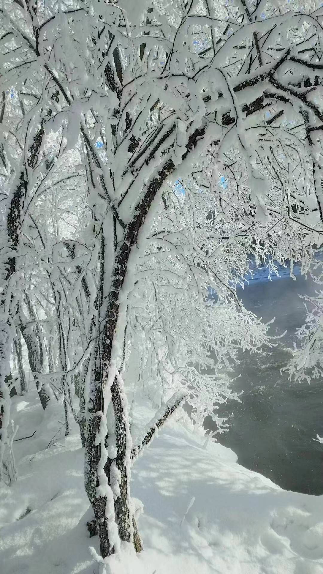 逊克县古纳温雾凇景区旅行图片 1