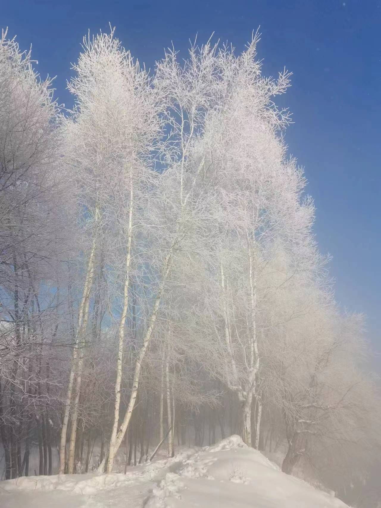 逊克县古纳温雾凇景区旅行图片 1