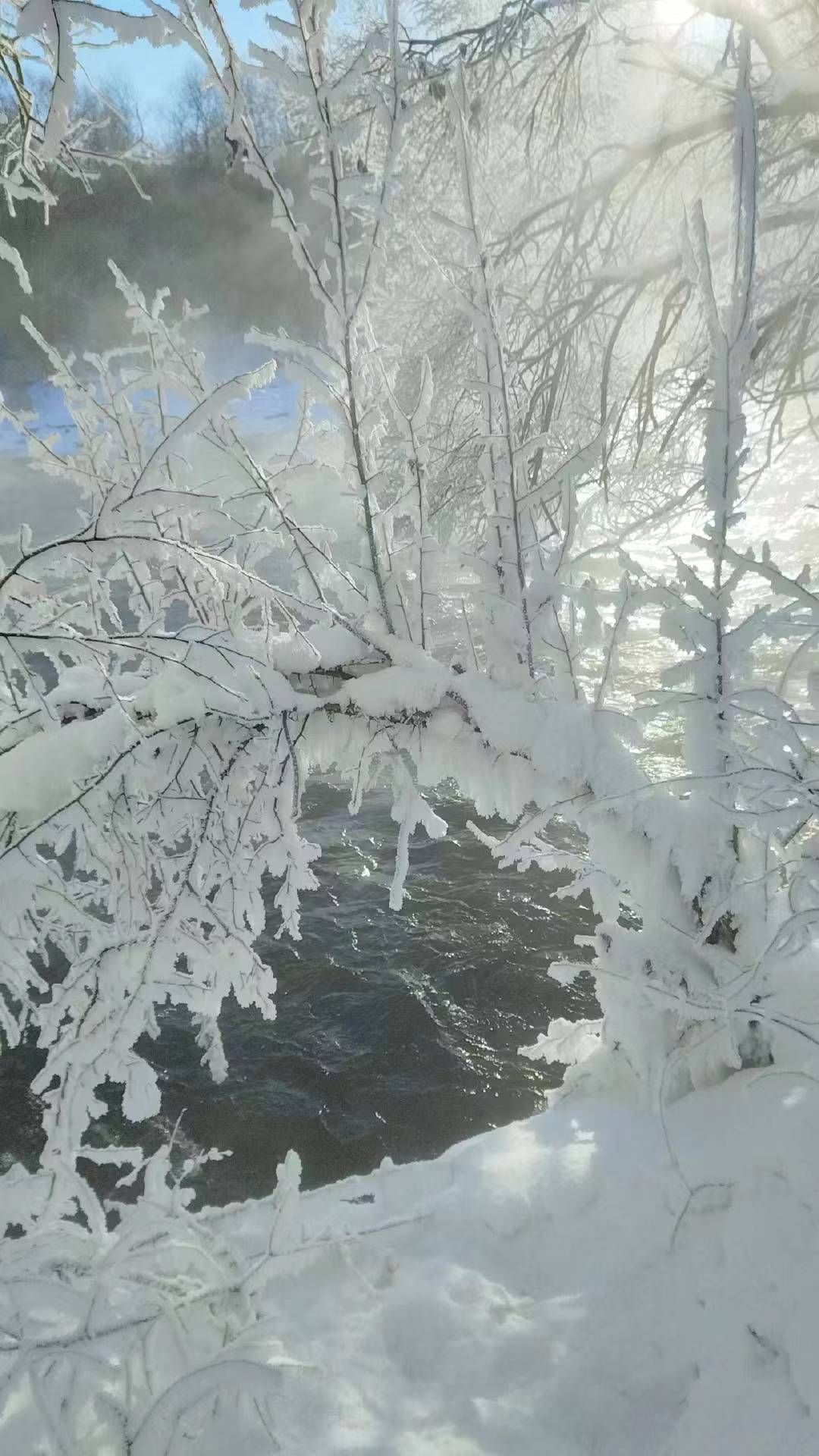 逊克县古纳温雾凇景区旅行图片 3