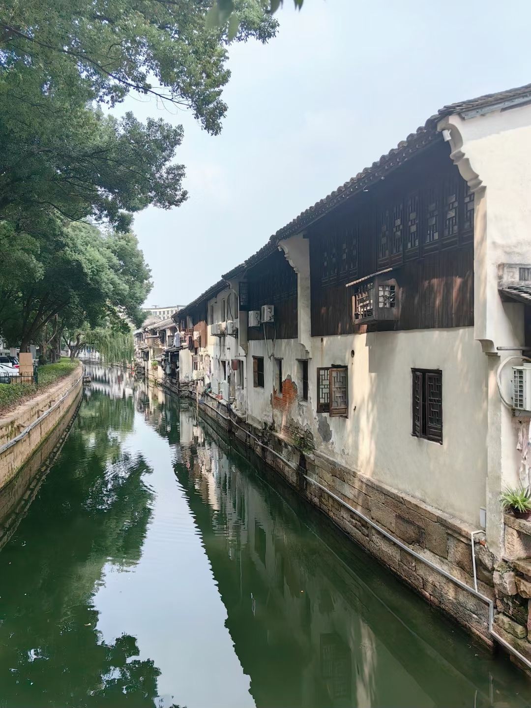 白马湖旅行图片 1