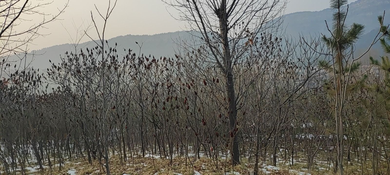 云平公园旅行图片 2
