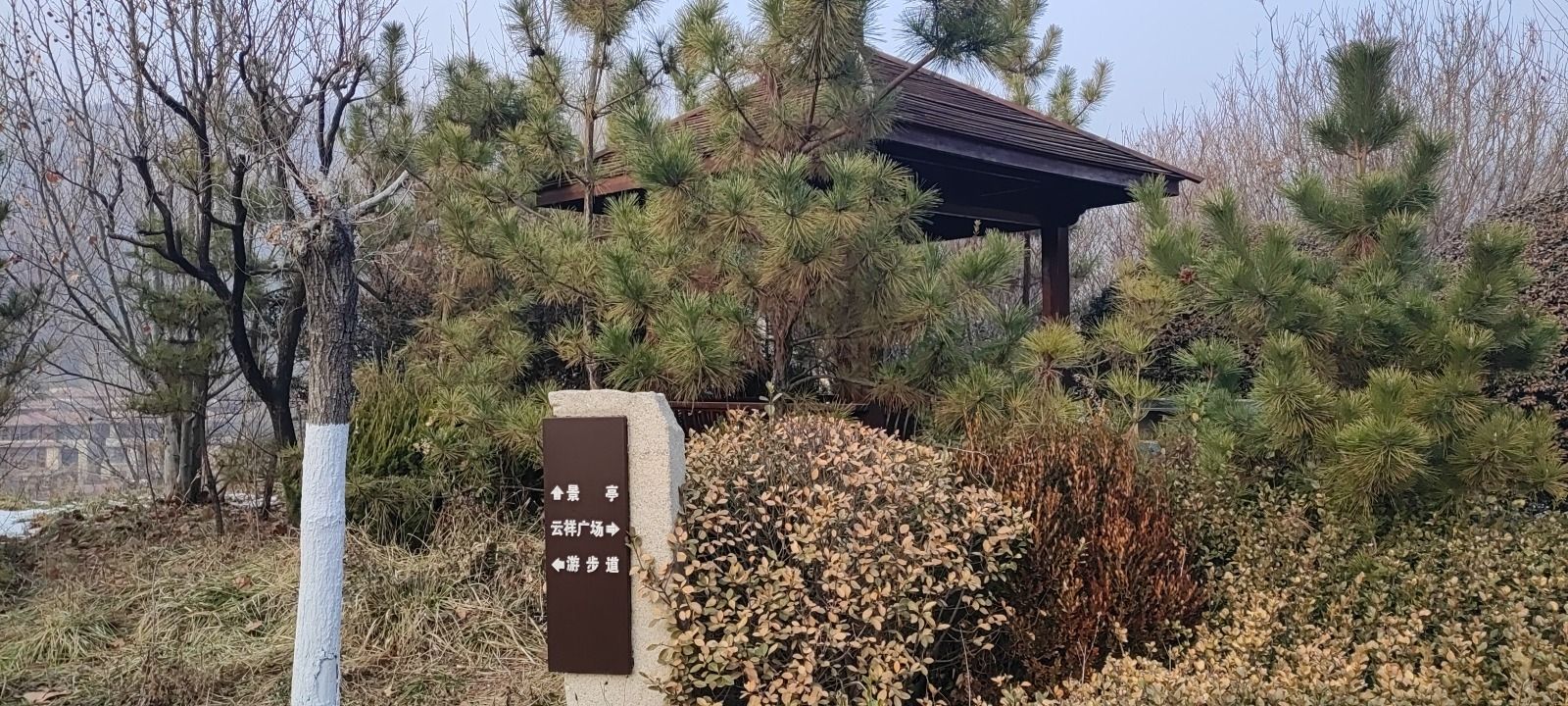 云平公园旅行图片 1