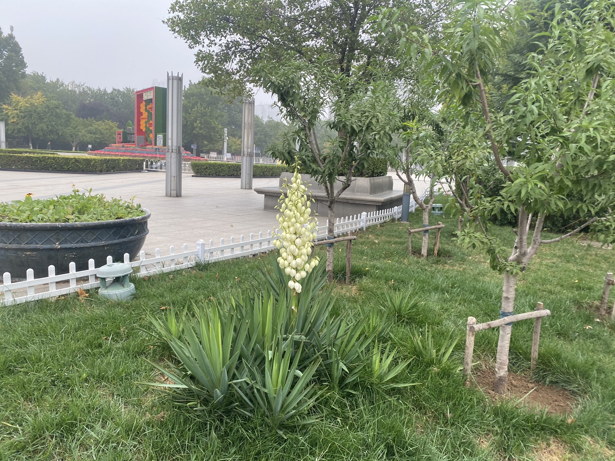 东丽广场旅行图片 3