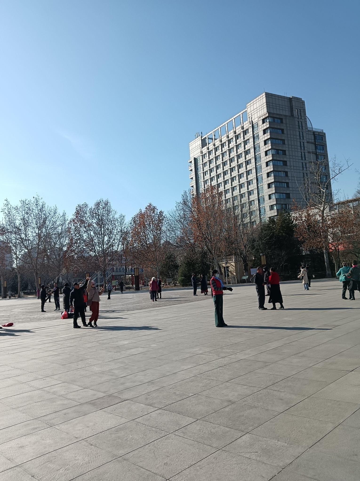 东丽广场旅行图片 3