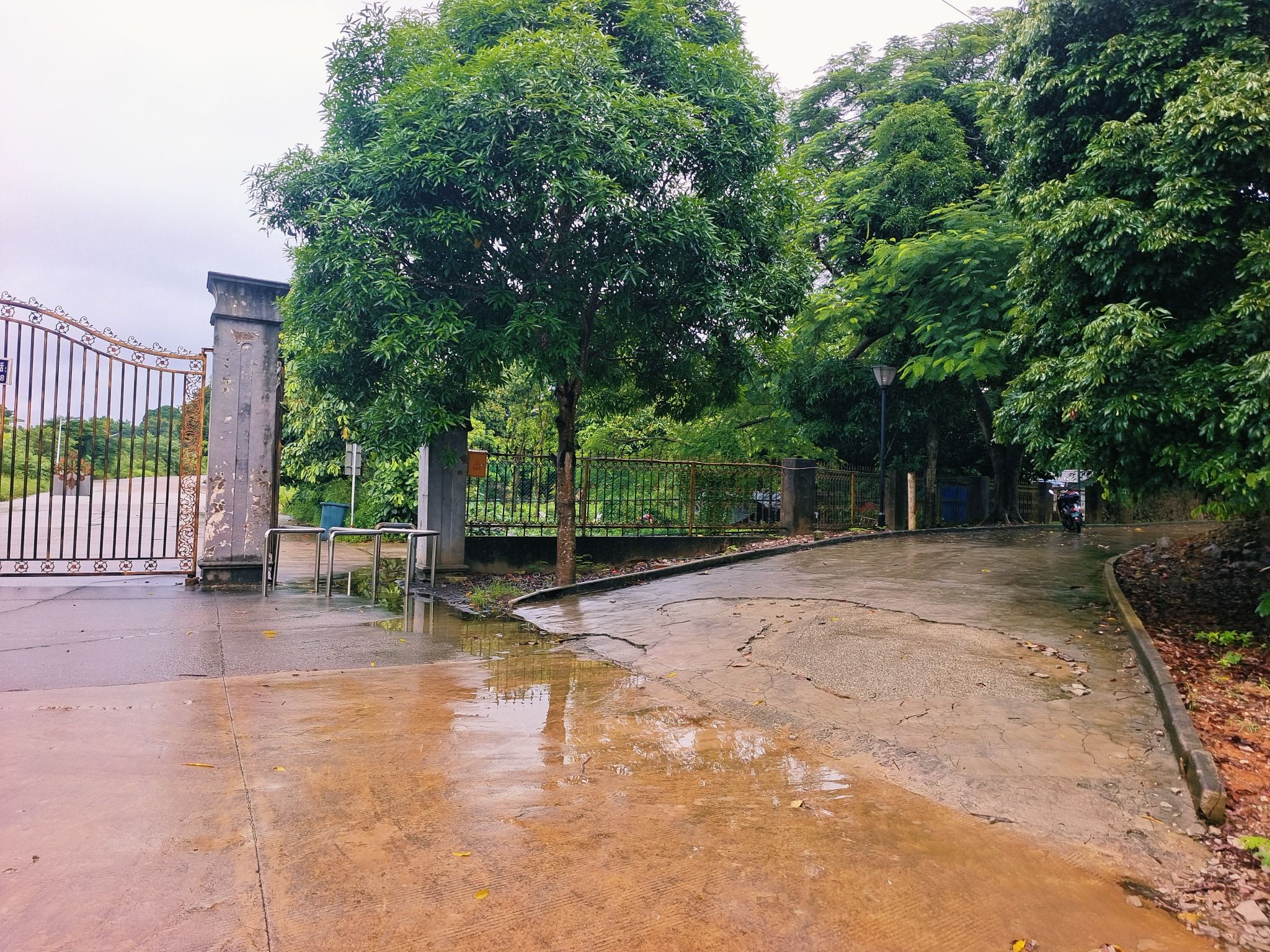 中山公园旅行图片 3