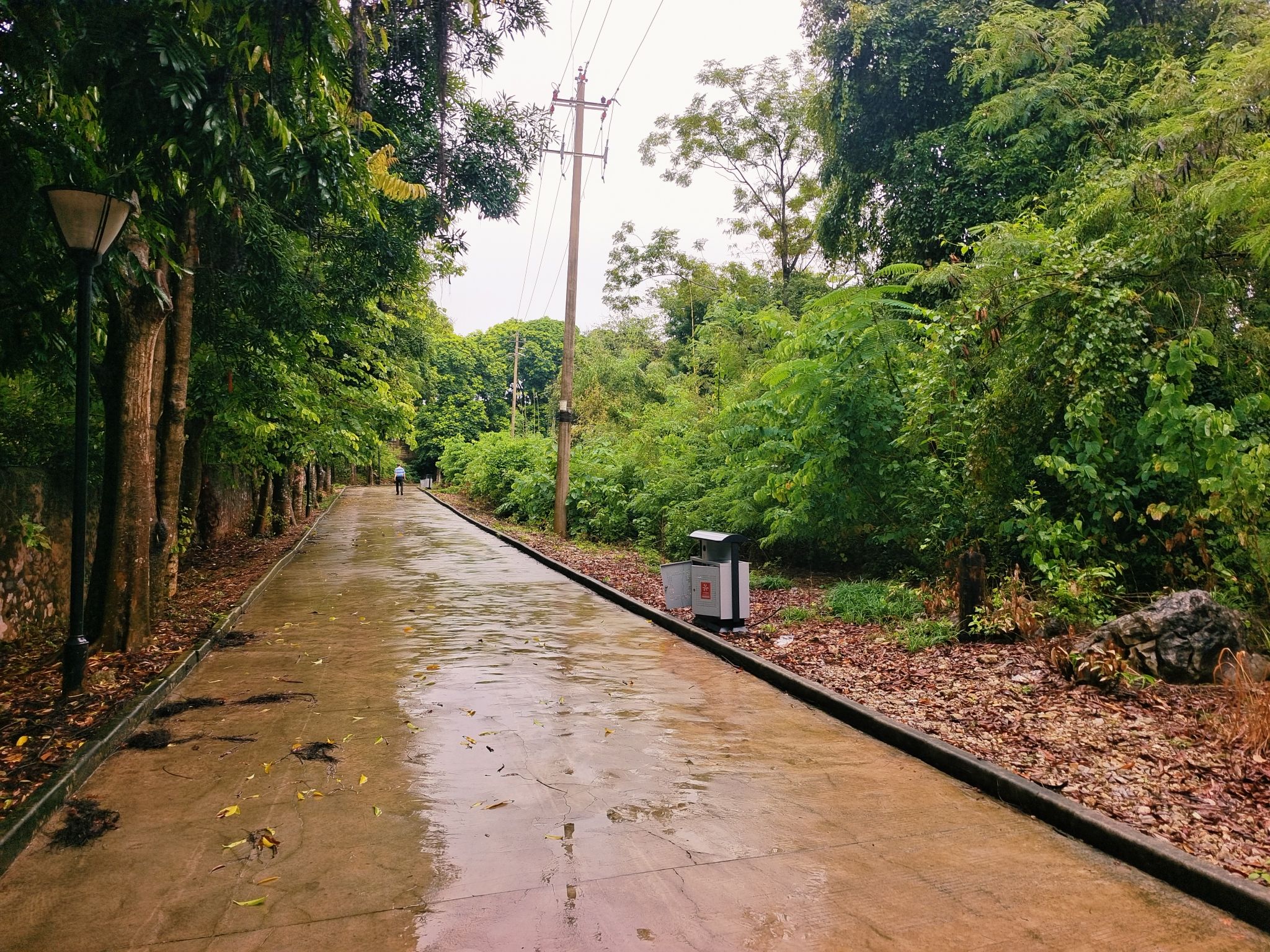 中山公园旅行图片 2