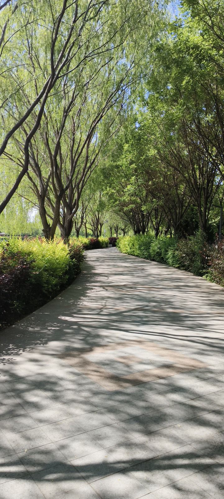 滨河公园旅行图片 1