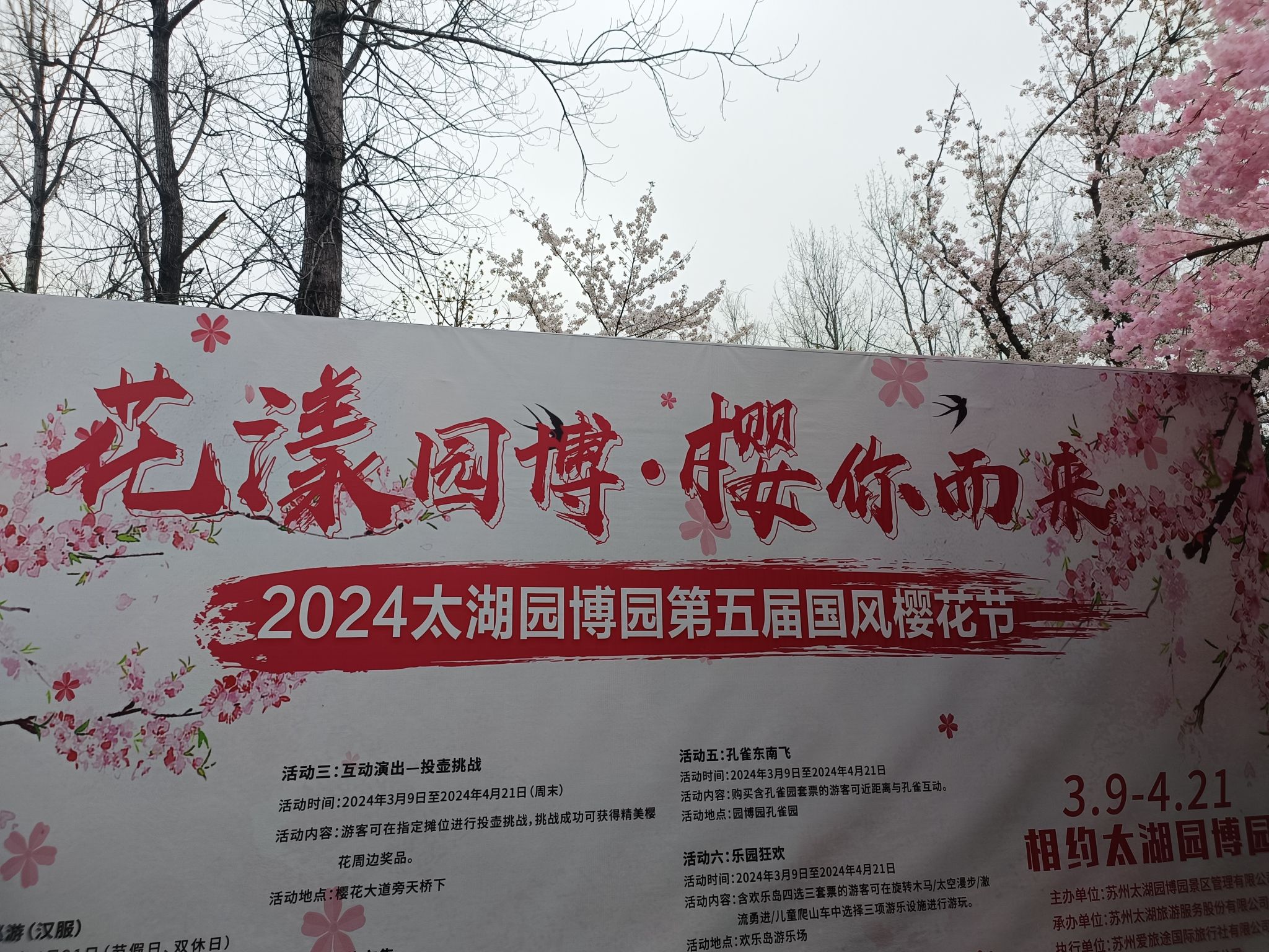 江南植物园旅行图片 2