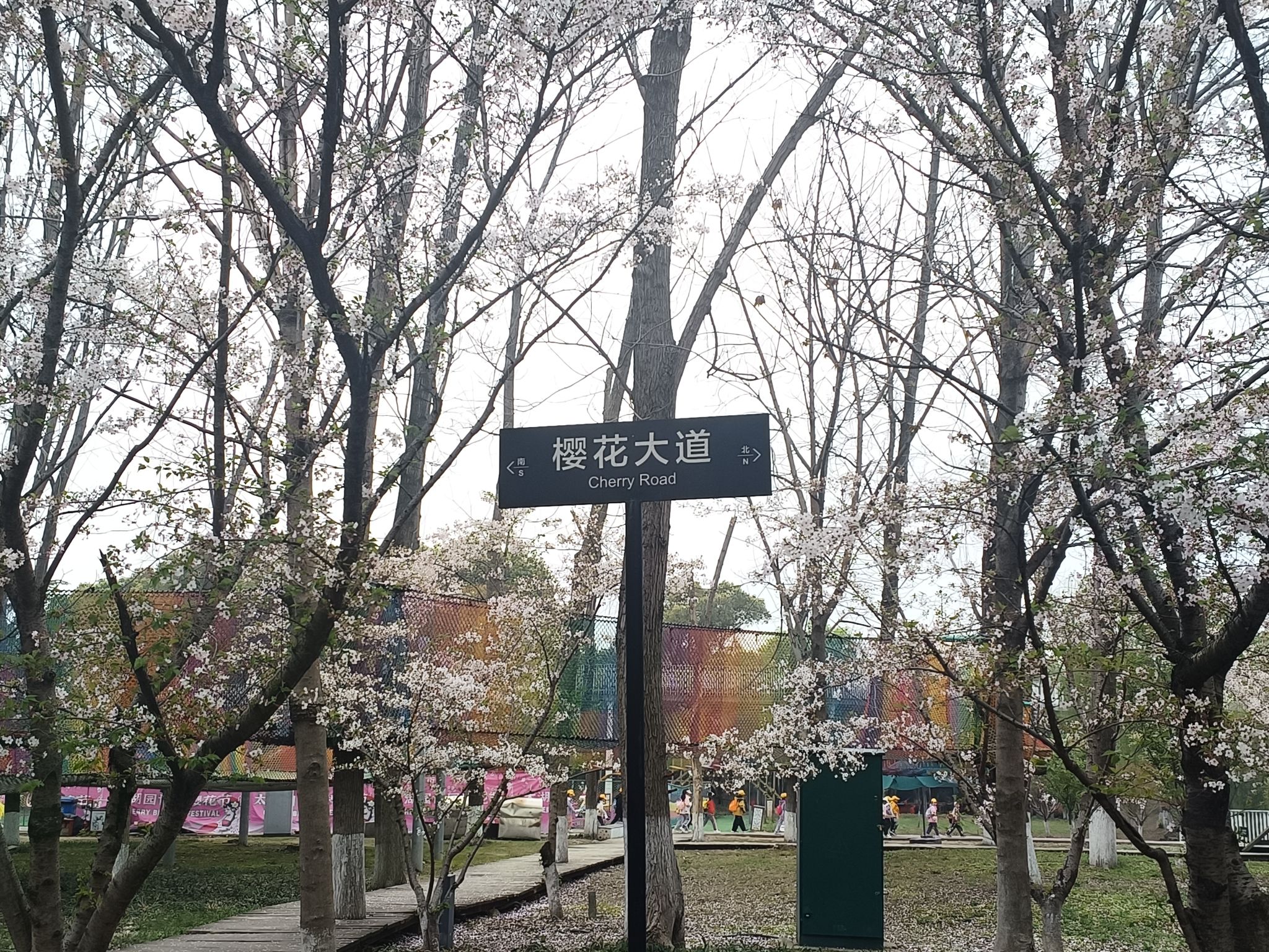 江南植物园旅行图片 3