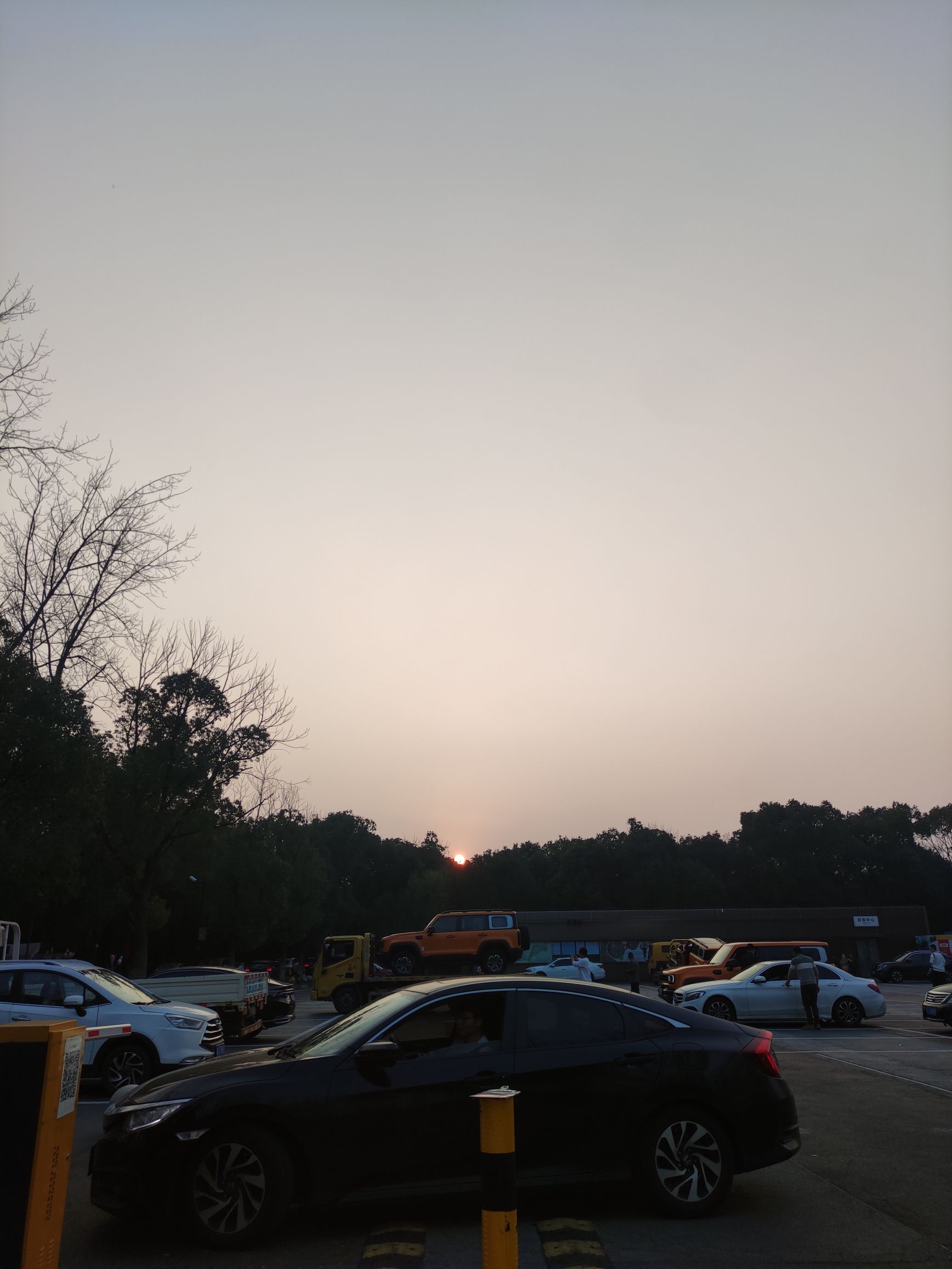 江南植物园旅行图片 3