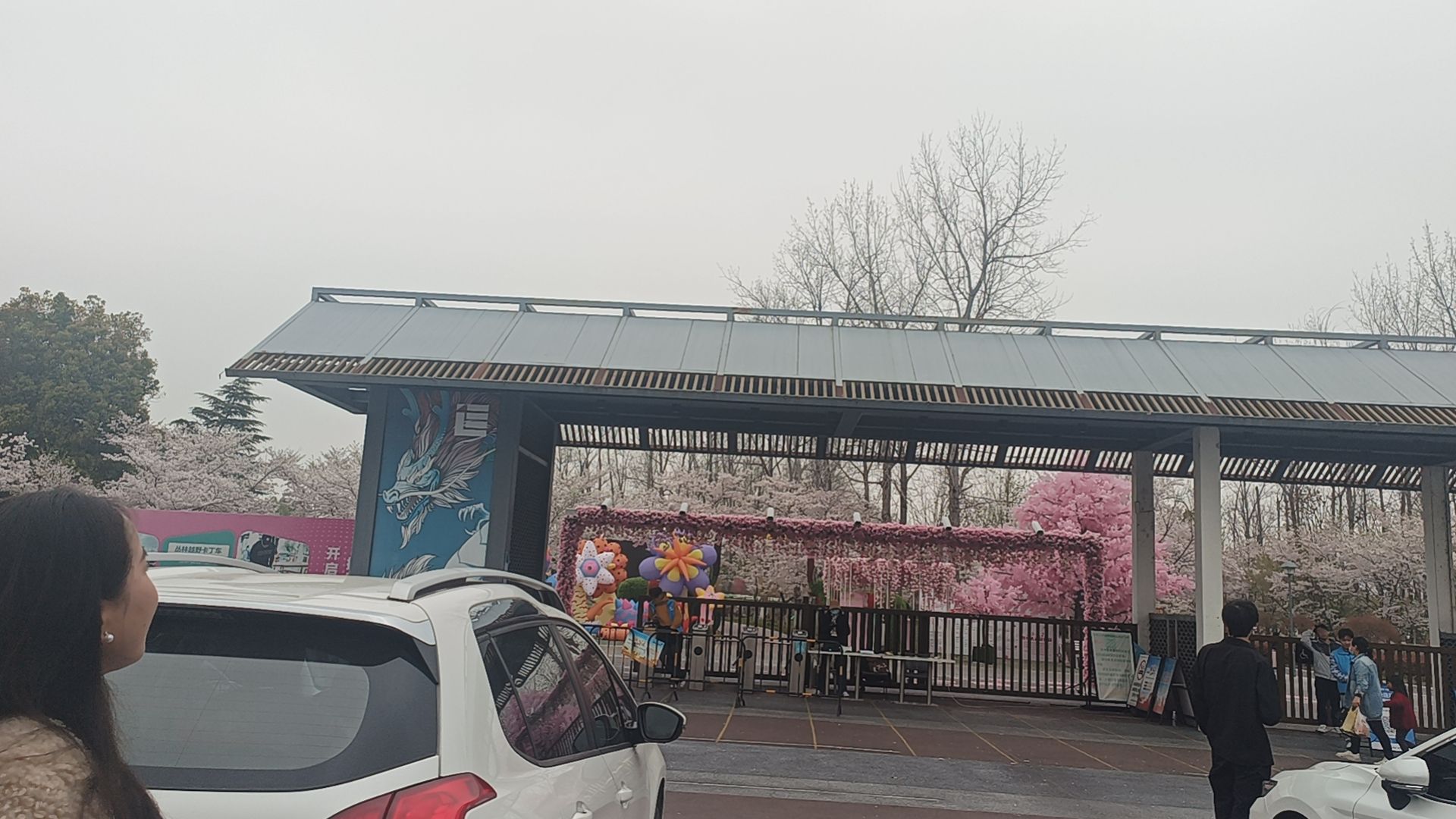 江南植物园旅行图片 1