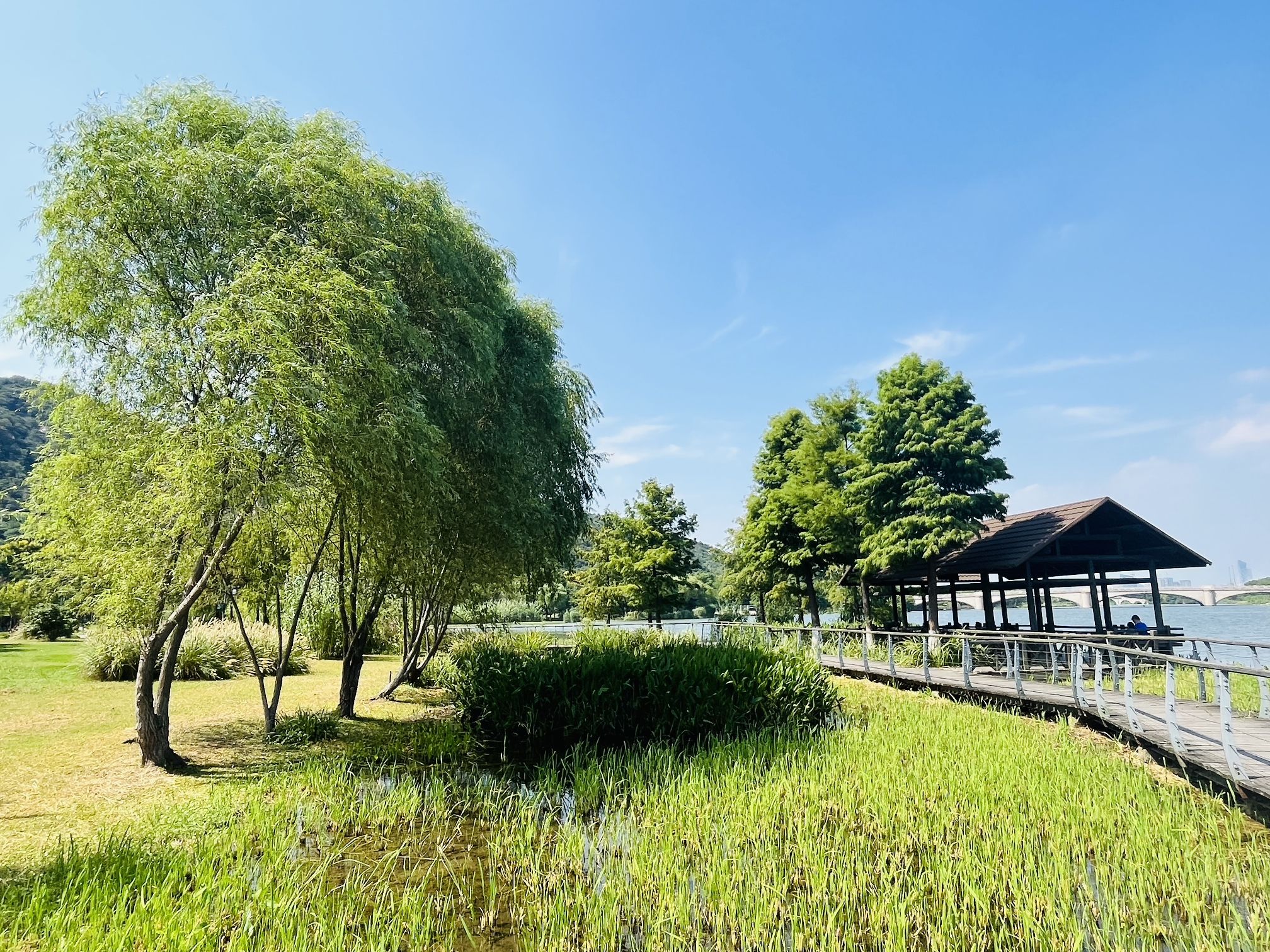 江苏无锡长广溪国家湿地公园