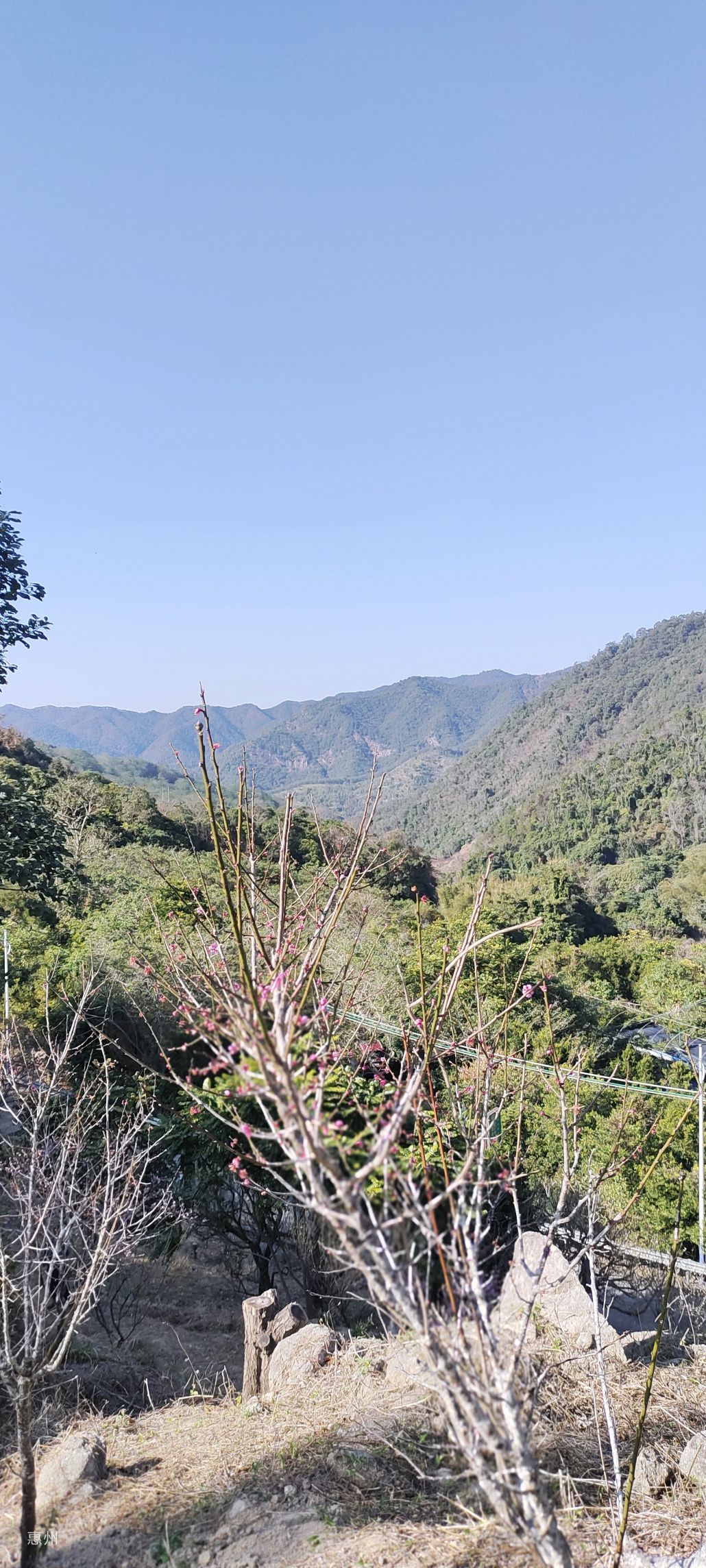 广东梁化国家森林公园旅行图片 1