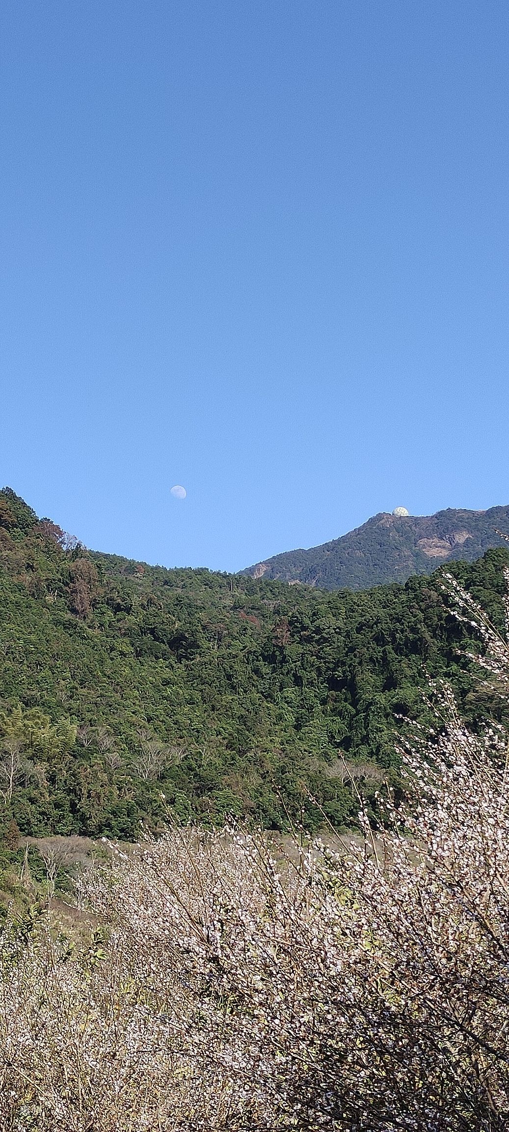 广东梁化国家森林公园旅行图片 2