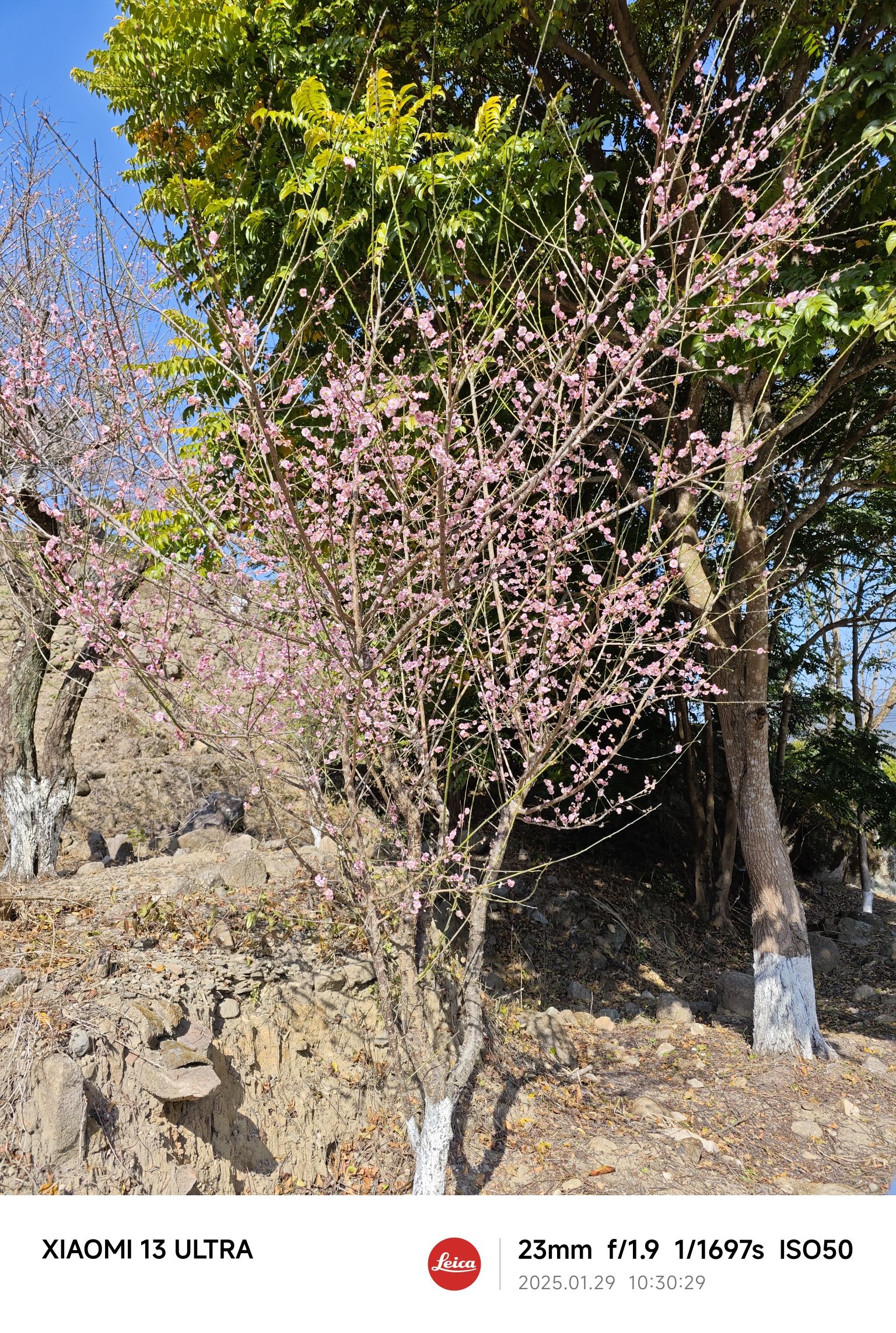 广东梁化国家森林公园旅行图片 2