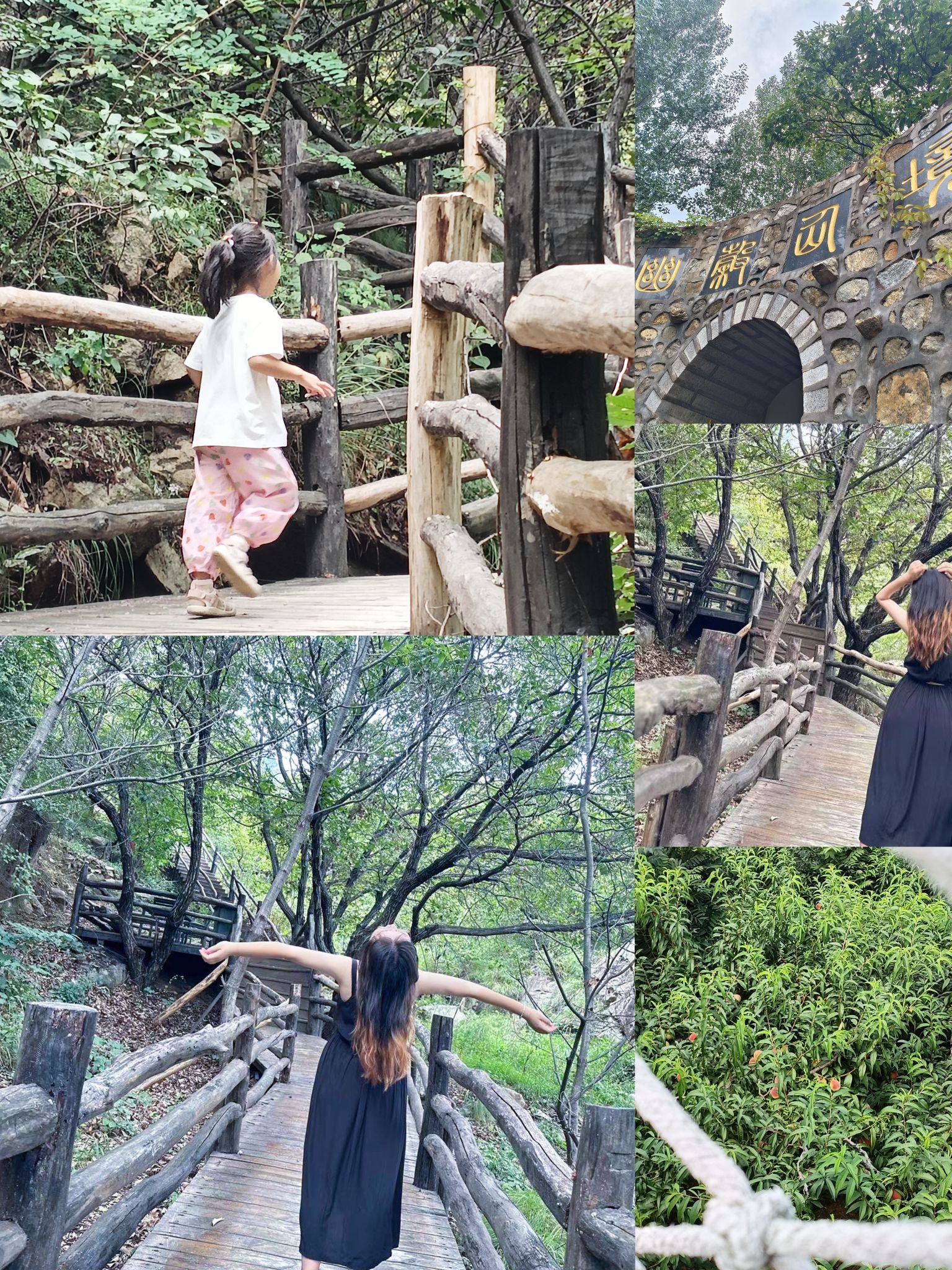 幽幽谷旅行图片 2