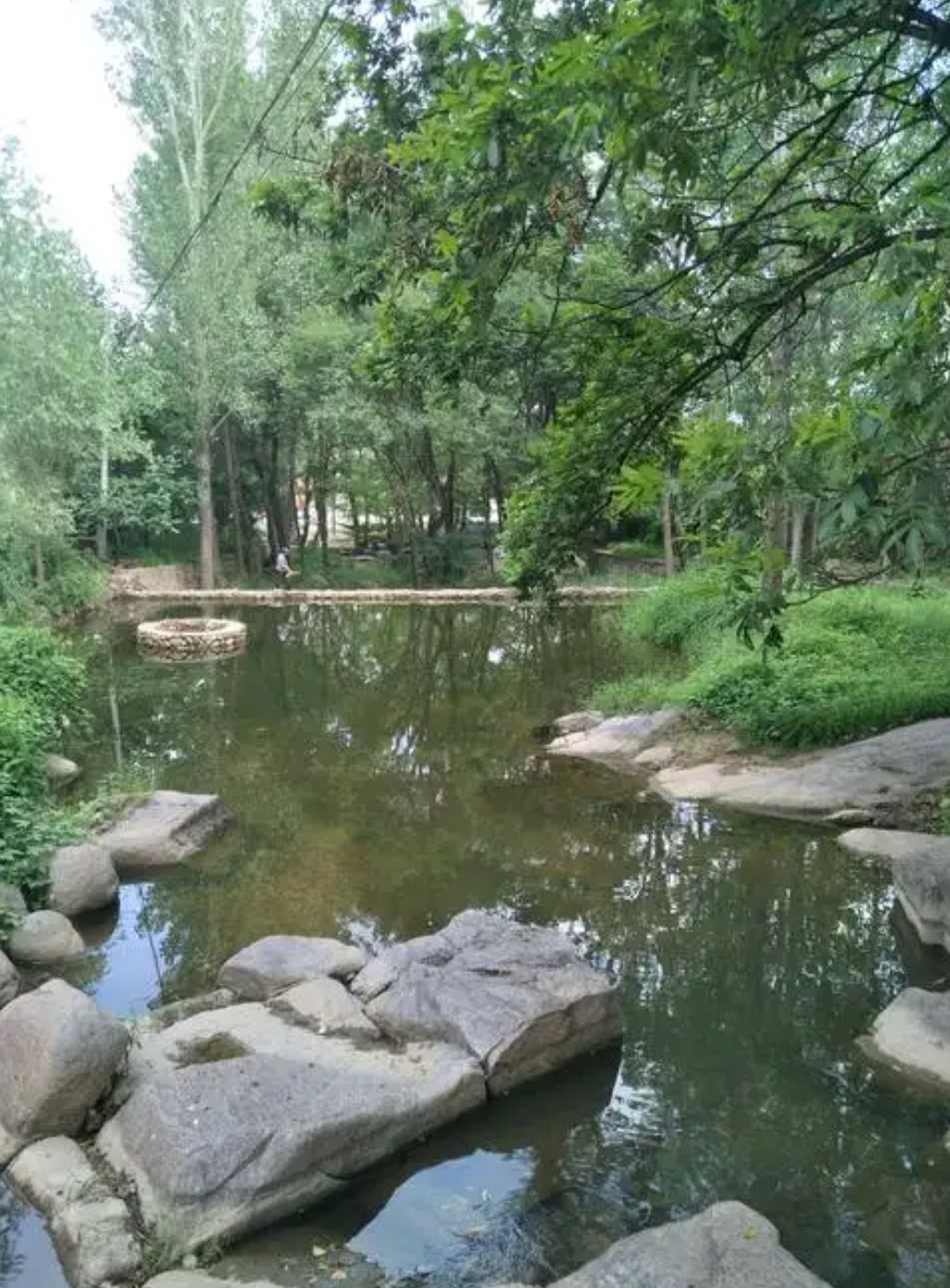幽幽谷旅行图片 3