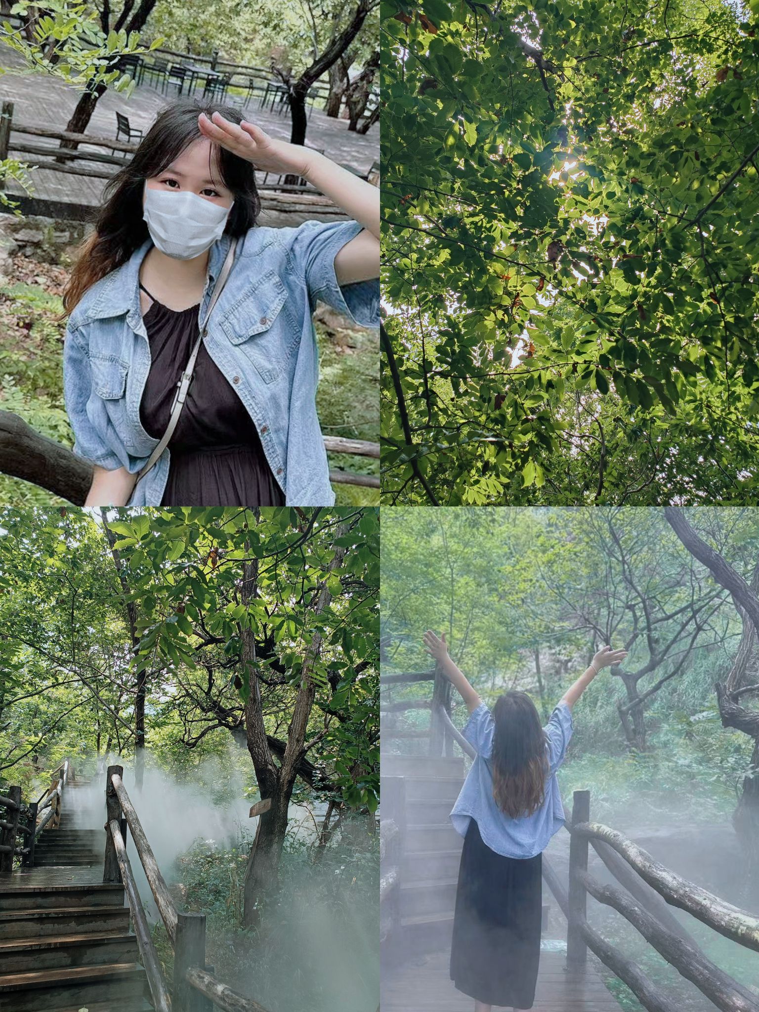 幽幽谷旅行图片 1