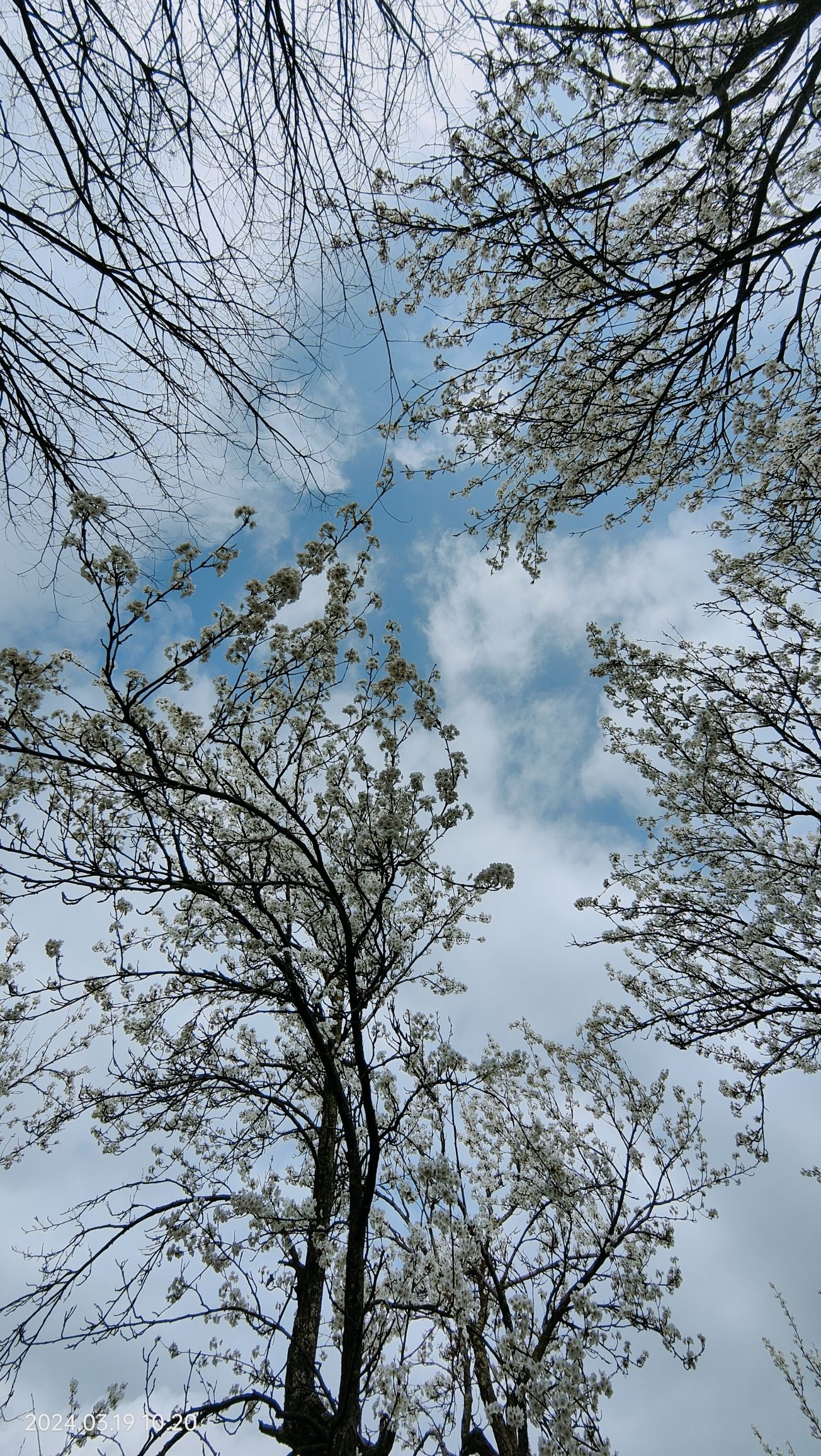 神仙包景区旅行图片 2