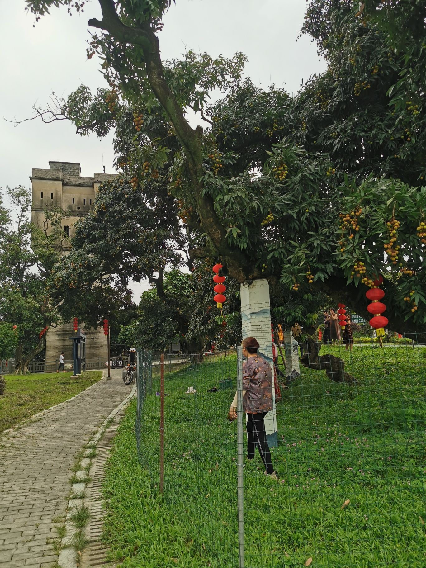 宁远楼旅行图片 2