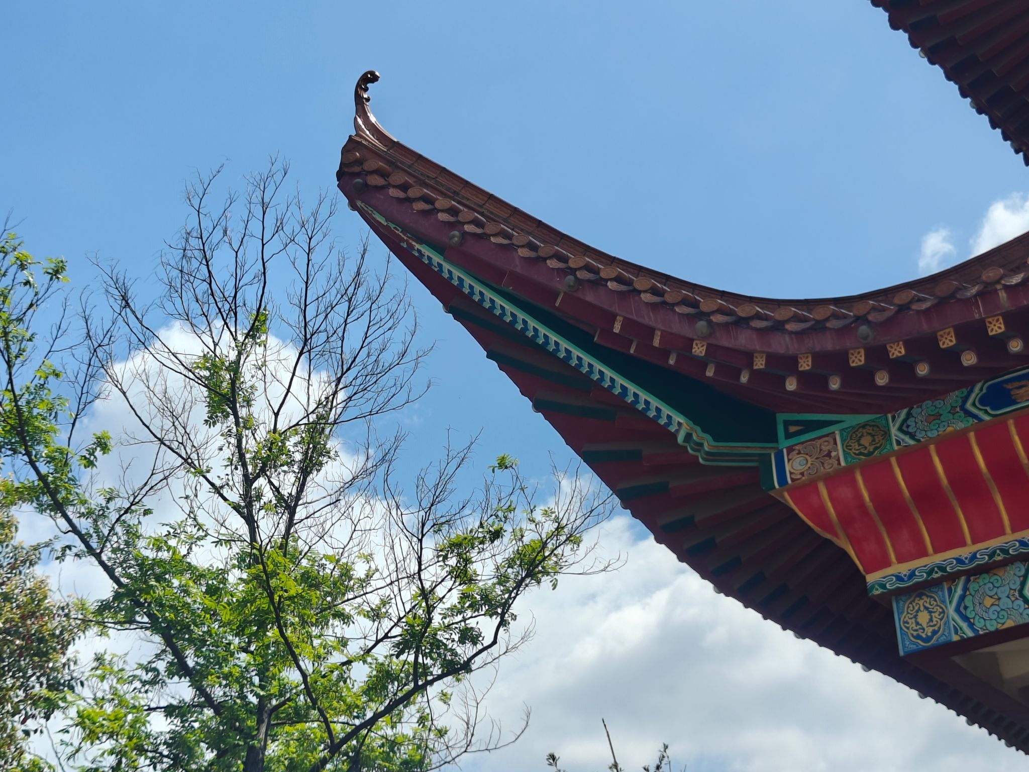 印山湖风景区旅行图片 1