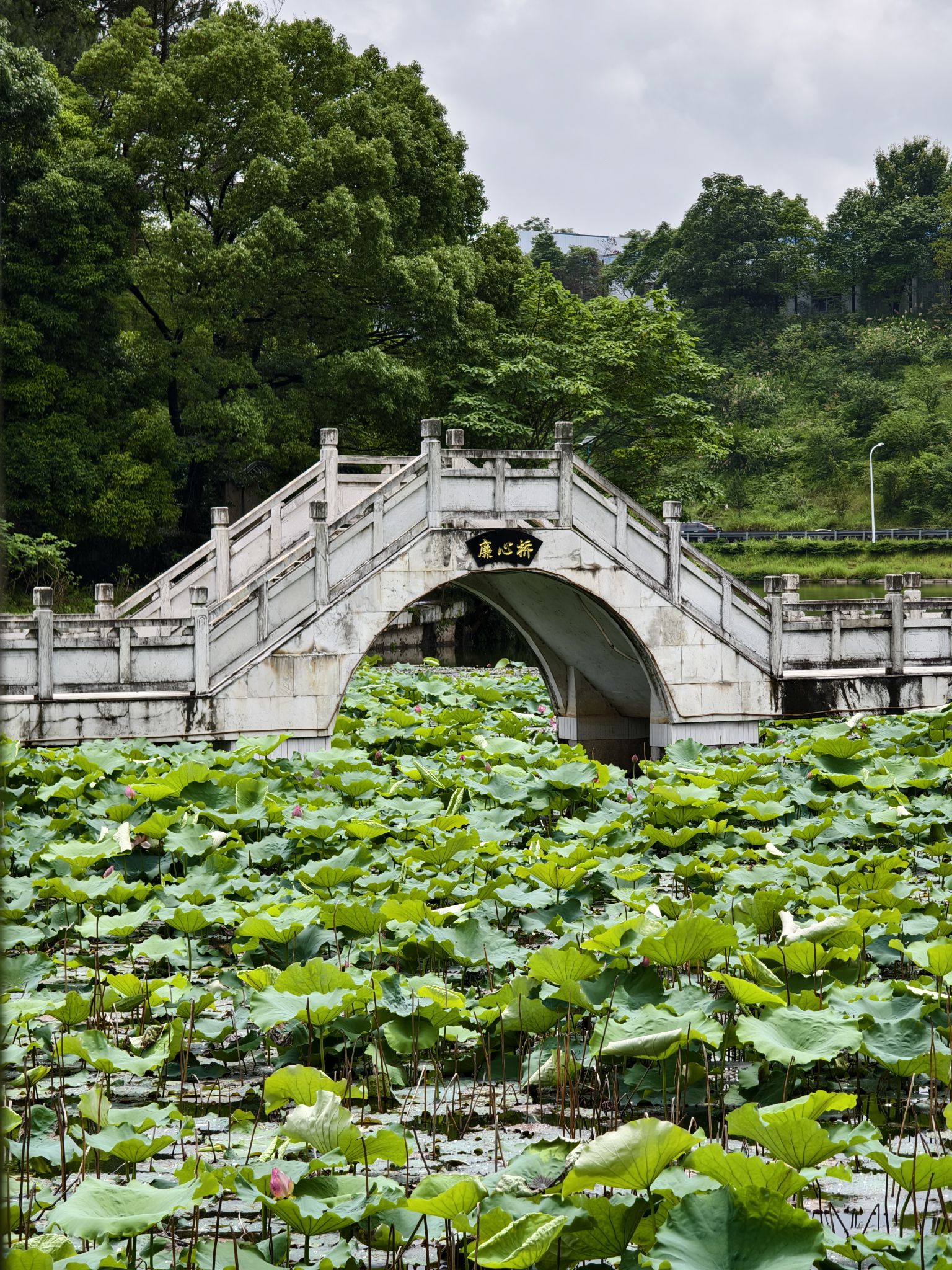 印山湖风景区旅行图片 2