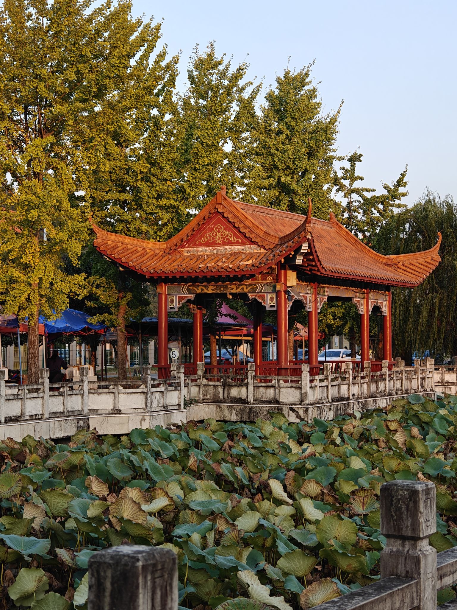 印山湖风景区旅行图片 2