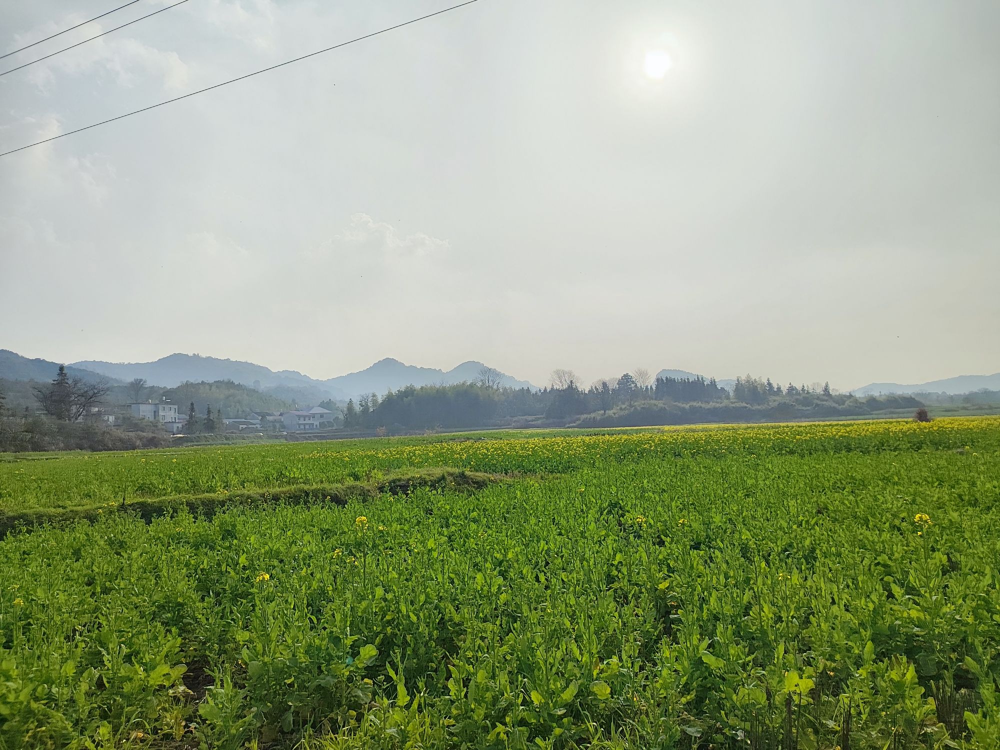 大游山旅行图片 1