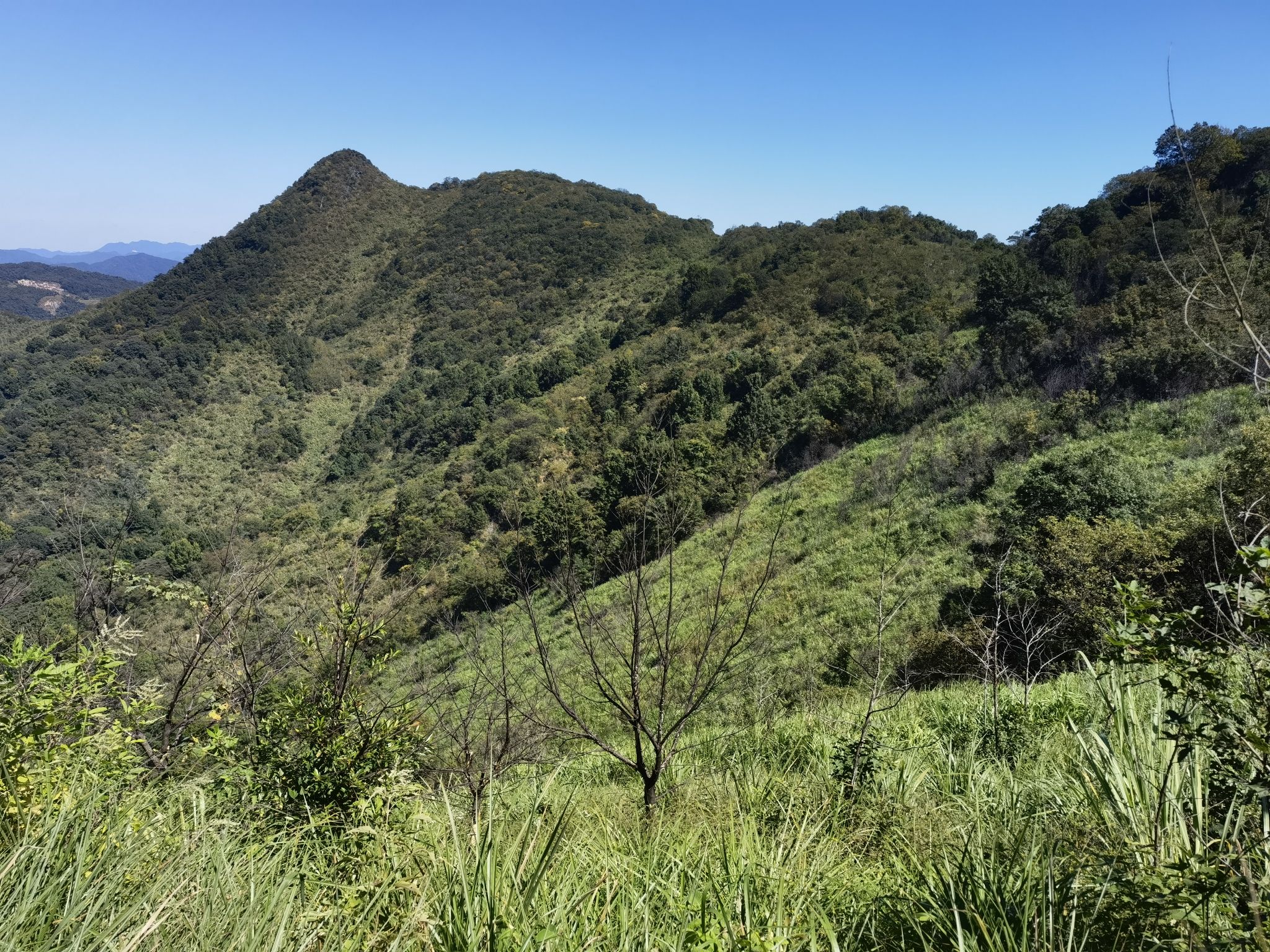 大游山旅行图片 1