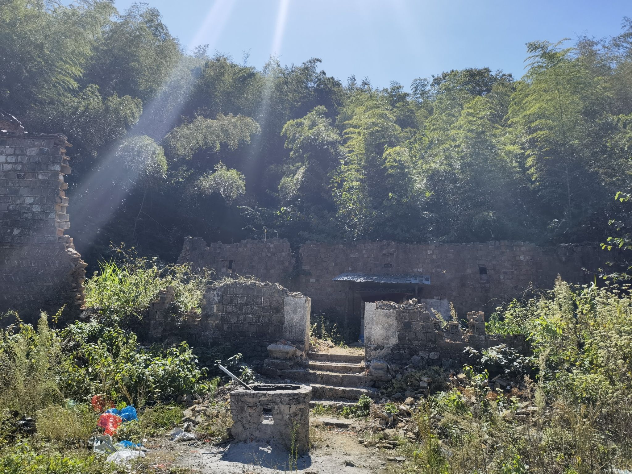 大游山旅行图片 3