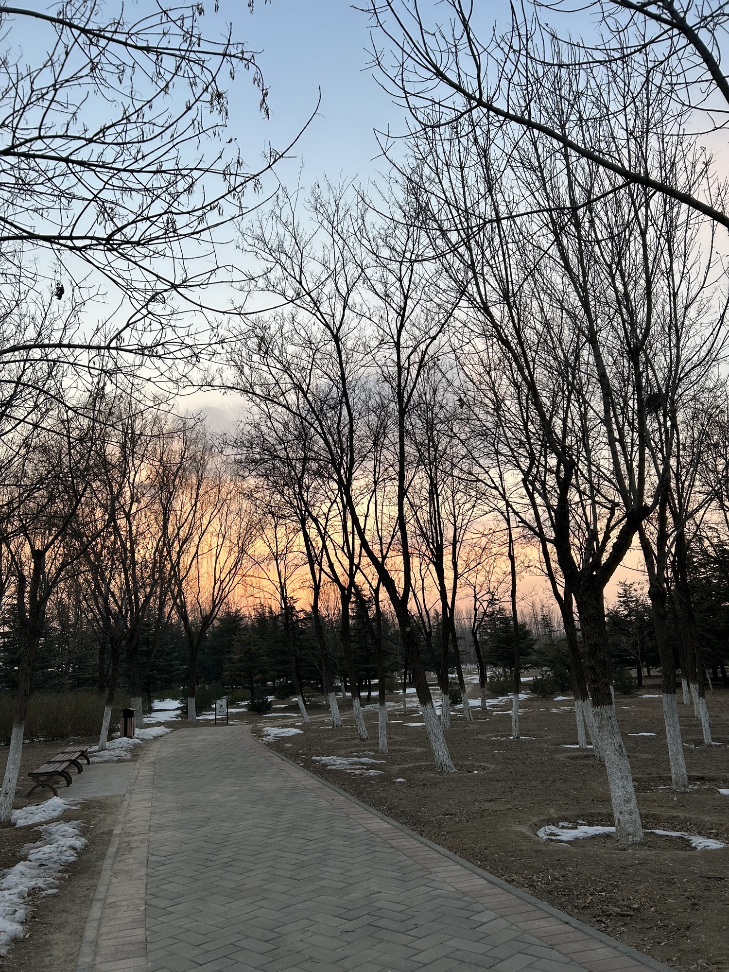 昌平新城滨河森林公园(沙河)旅行图片 1