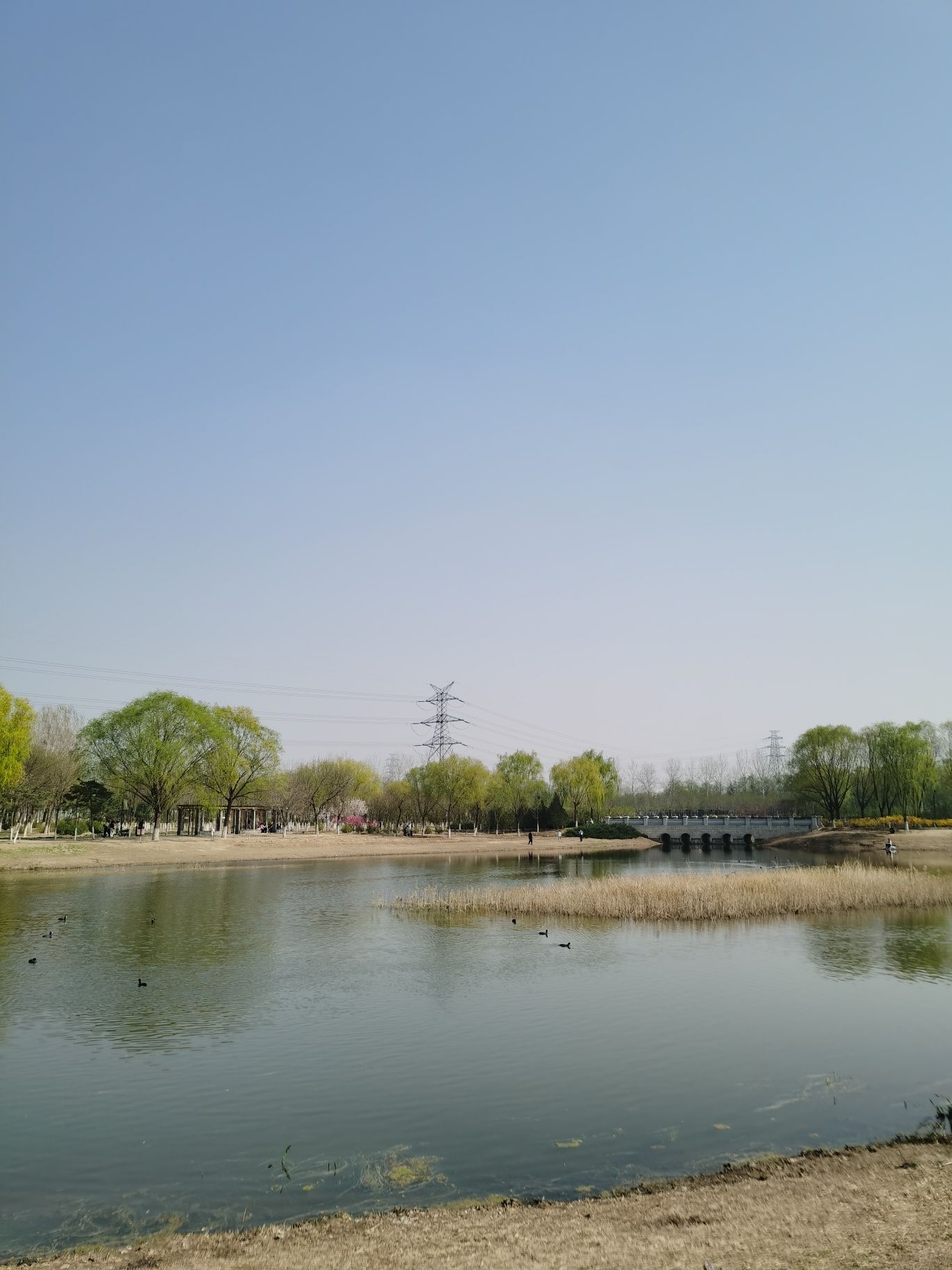 昌平新城滨河森林公园(沙河)旅行图片 2