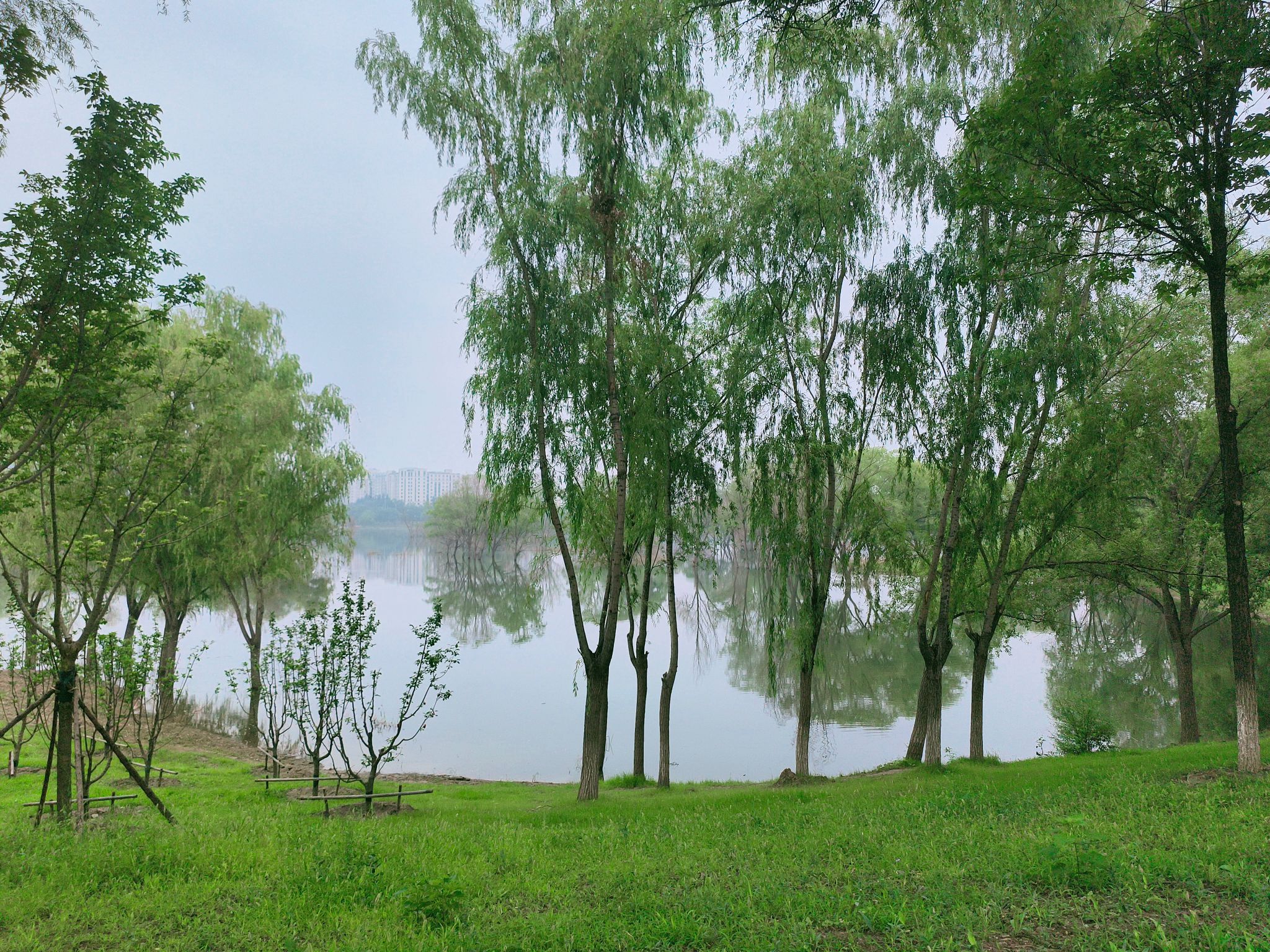 昌平新城滨河森林公园(沙河)旅行图片 2