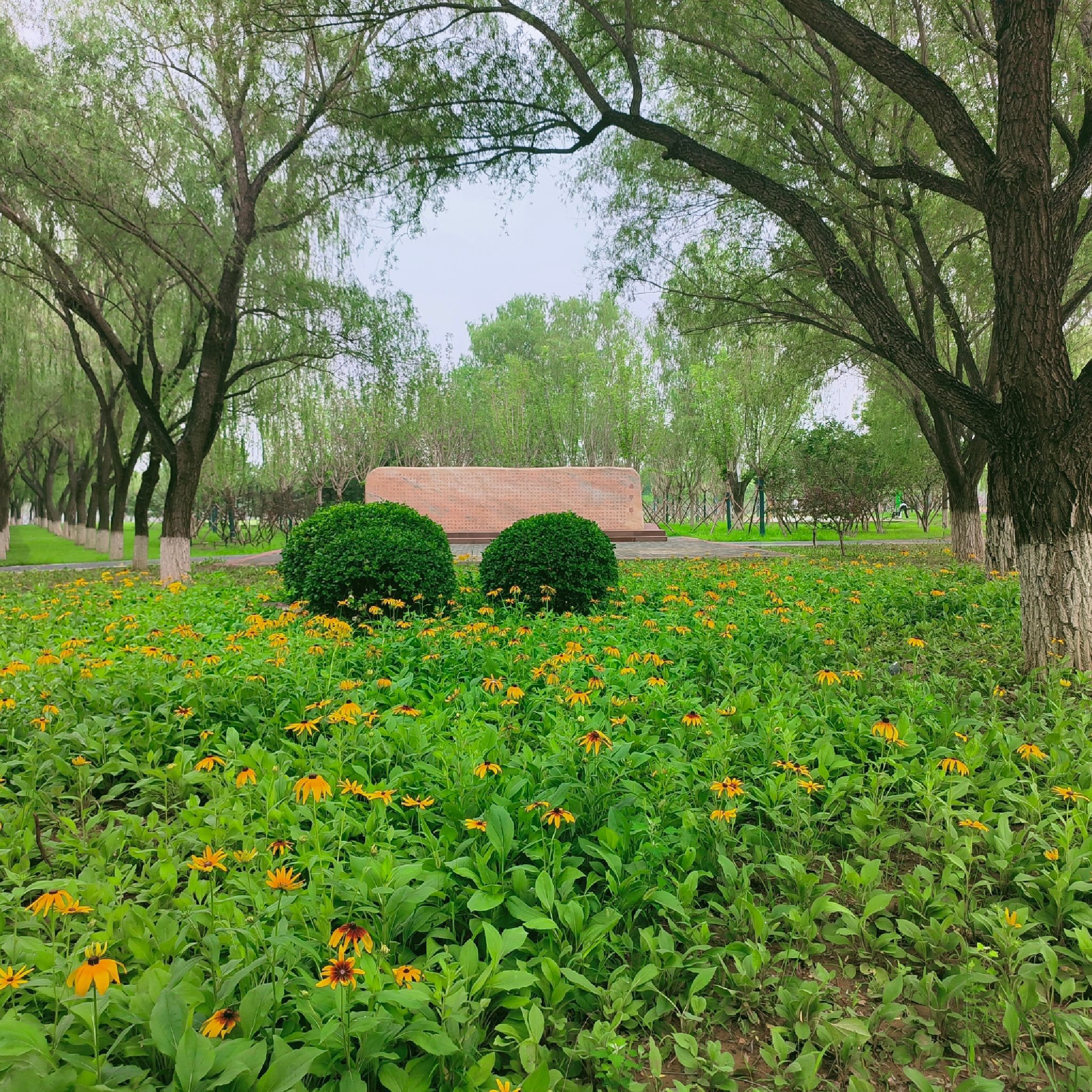 昌平新城滨河森林公园(沙河)旅行图片 3