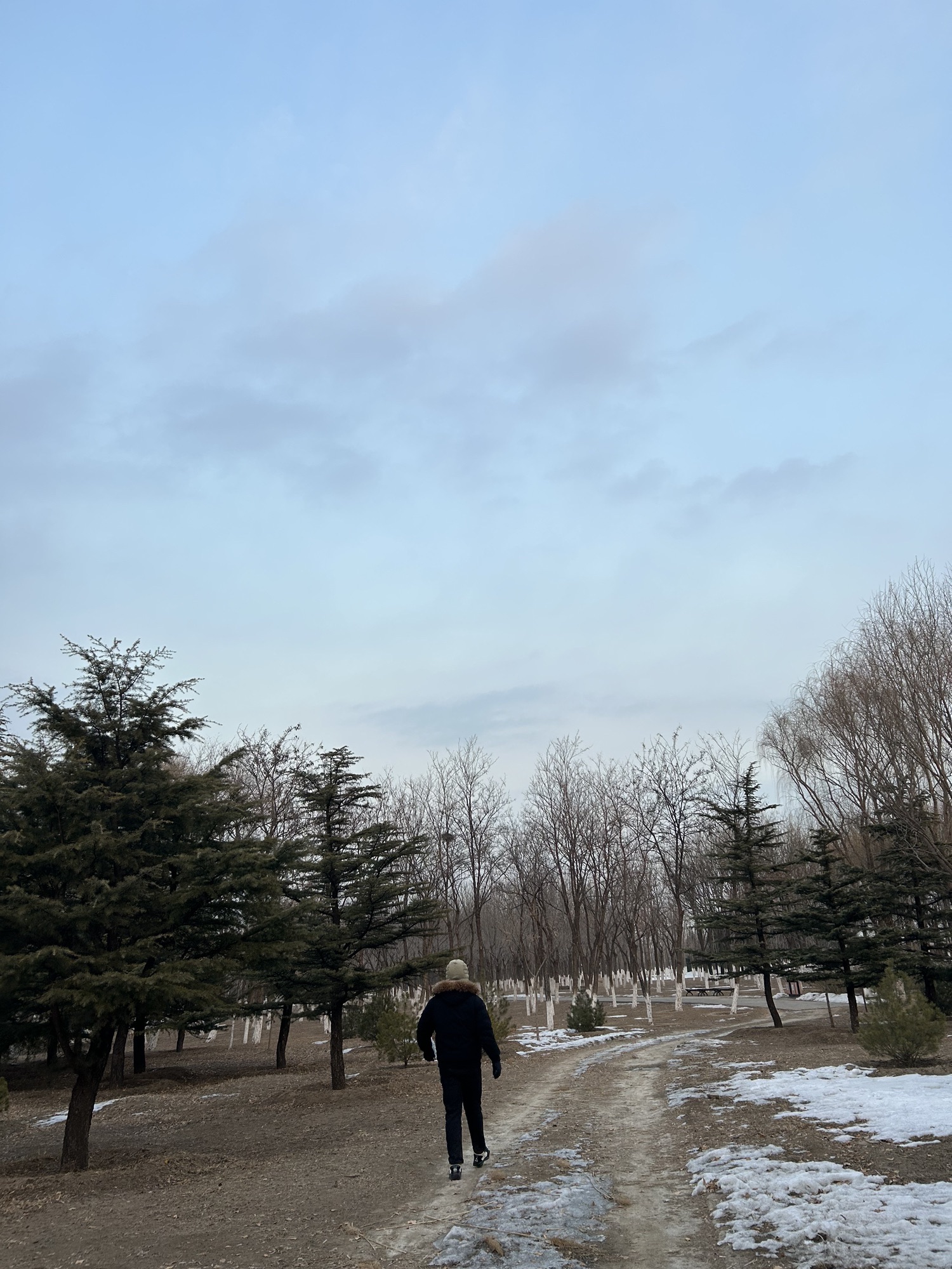 昌平新城滨河森林公园(沙河)旅行图片 2