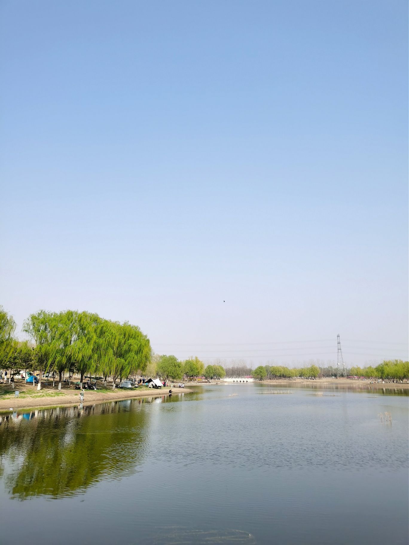 昌平新城滨河森林公园(沙河)旅行图片 3