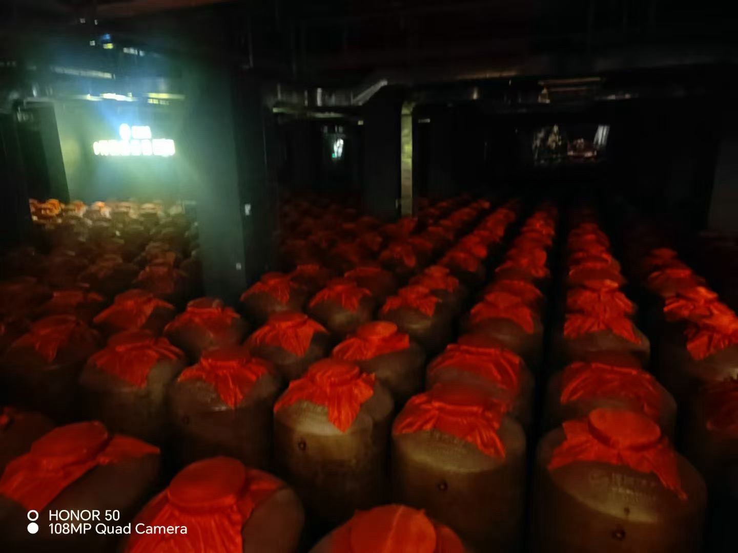 洋河酒厂文化旅游区旅行图片 2