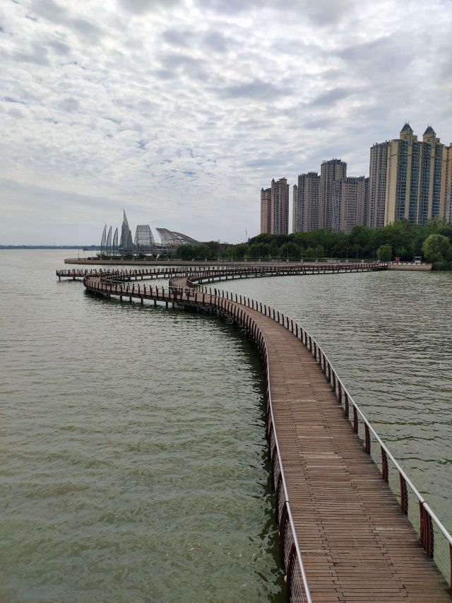 龙子湖风景区旅行图片 1