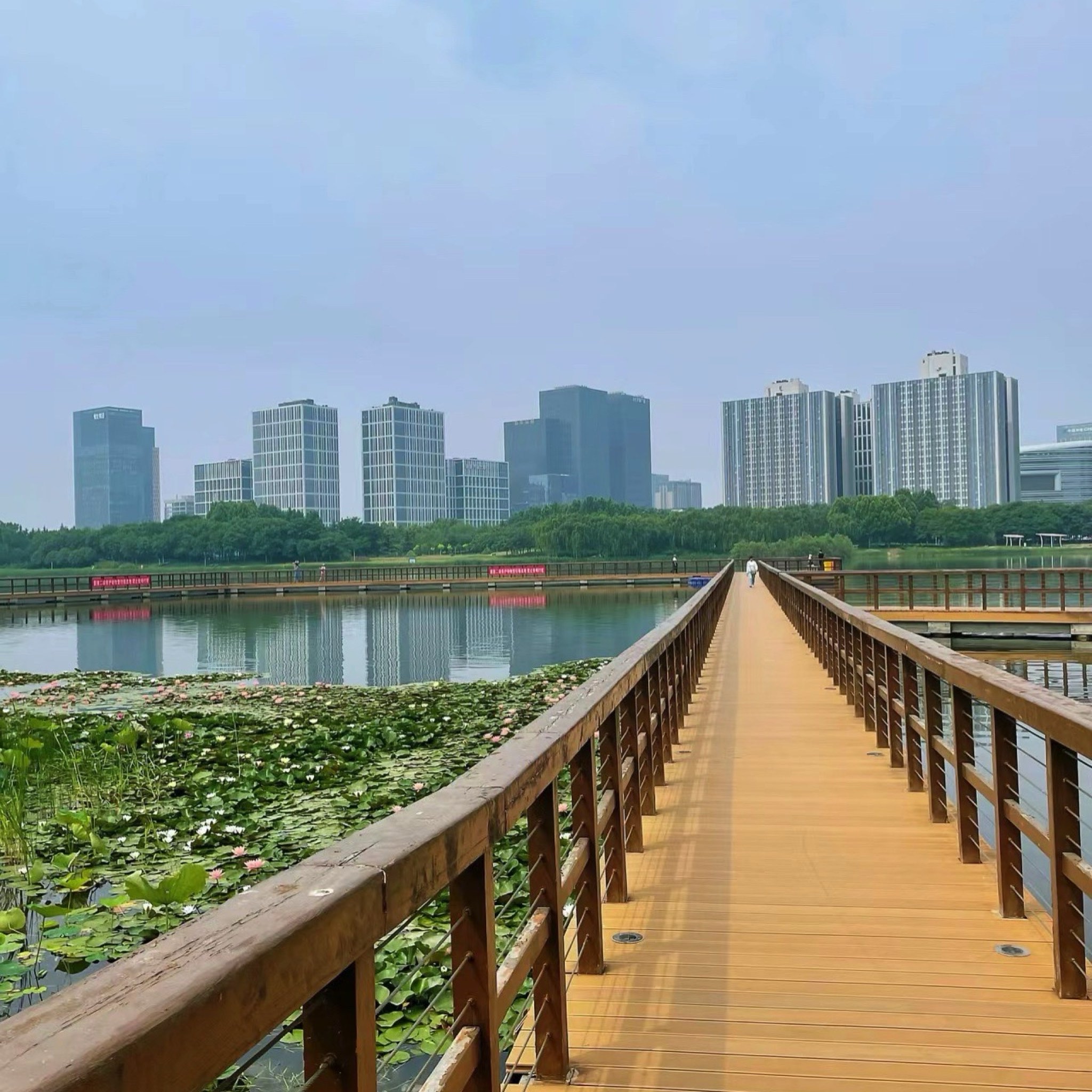 龙子湖风景区旅行图片 1