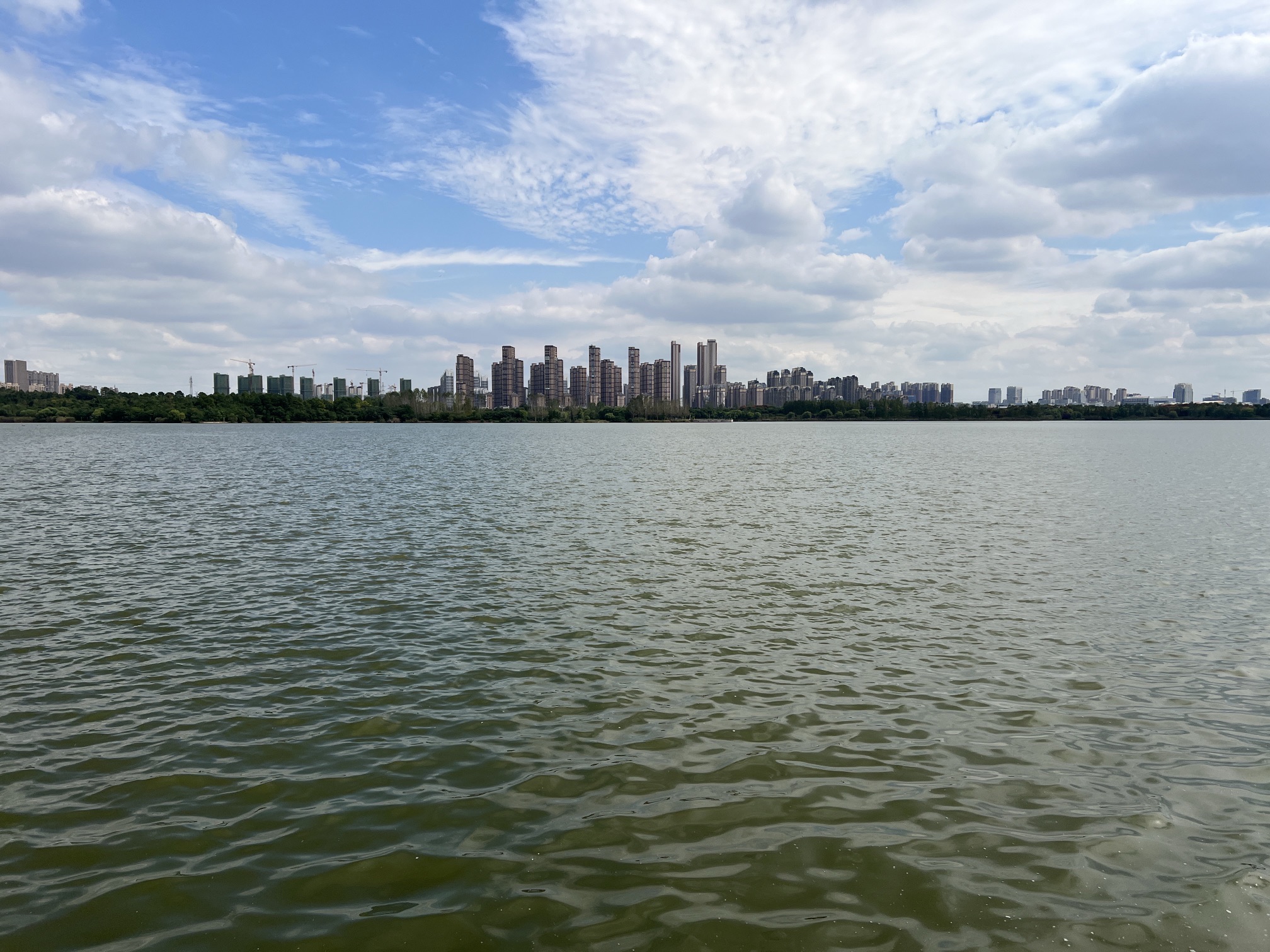 龙子湖风景区旅行图片 2