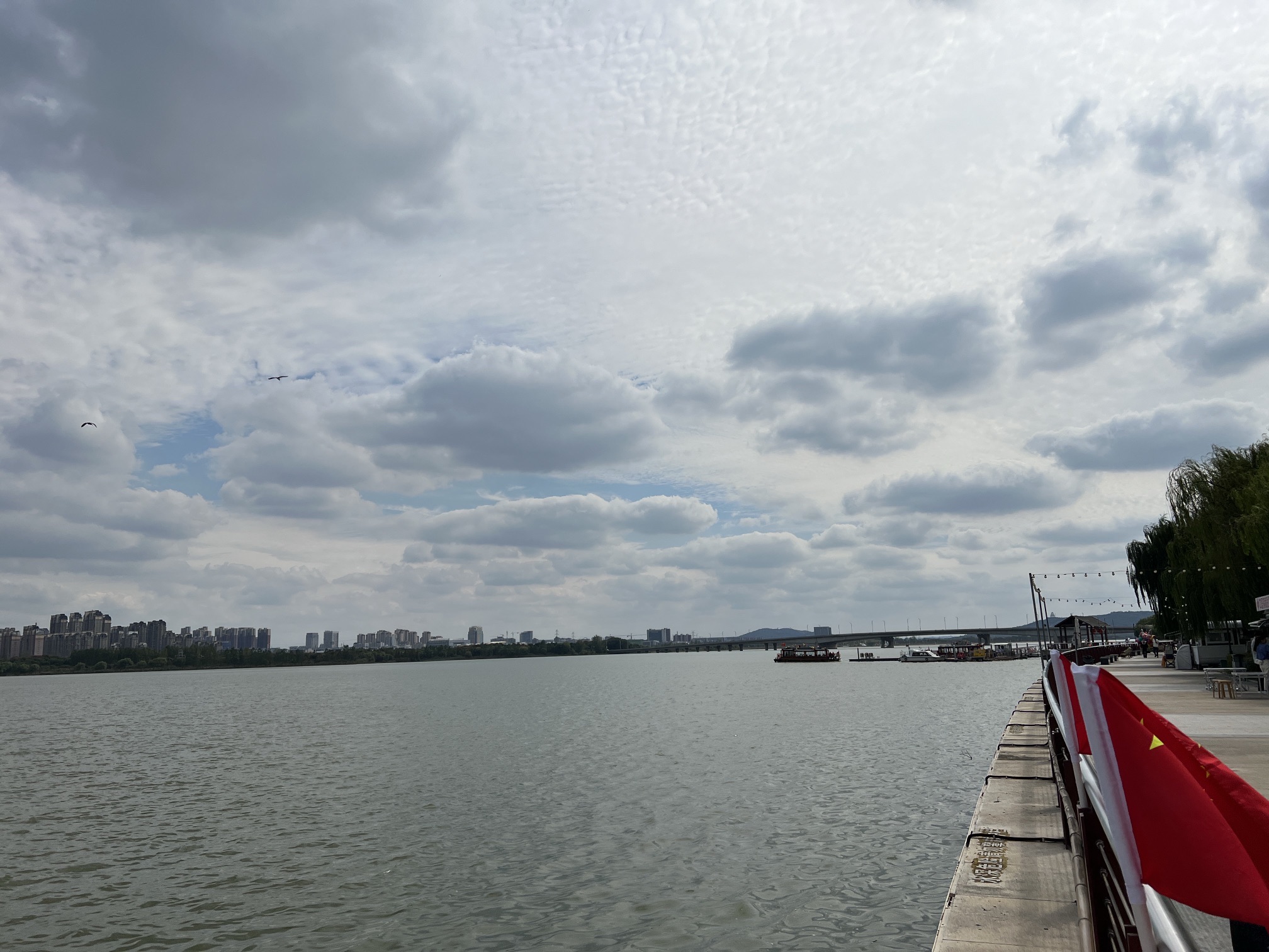 龙子湖风景区旅行图片 3