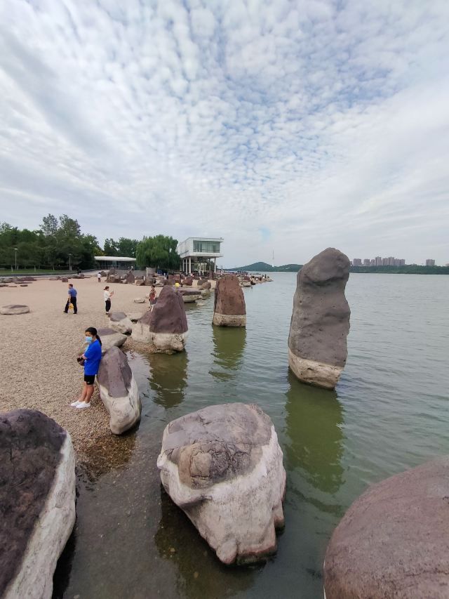 龙子湖风景区旅行图片 3