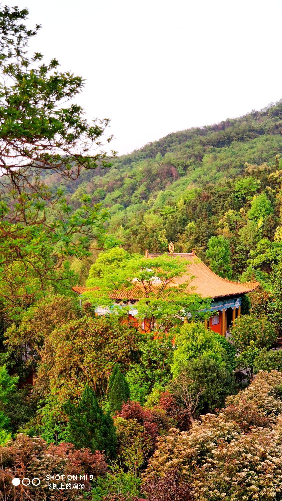 紫竹山开元寺