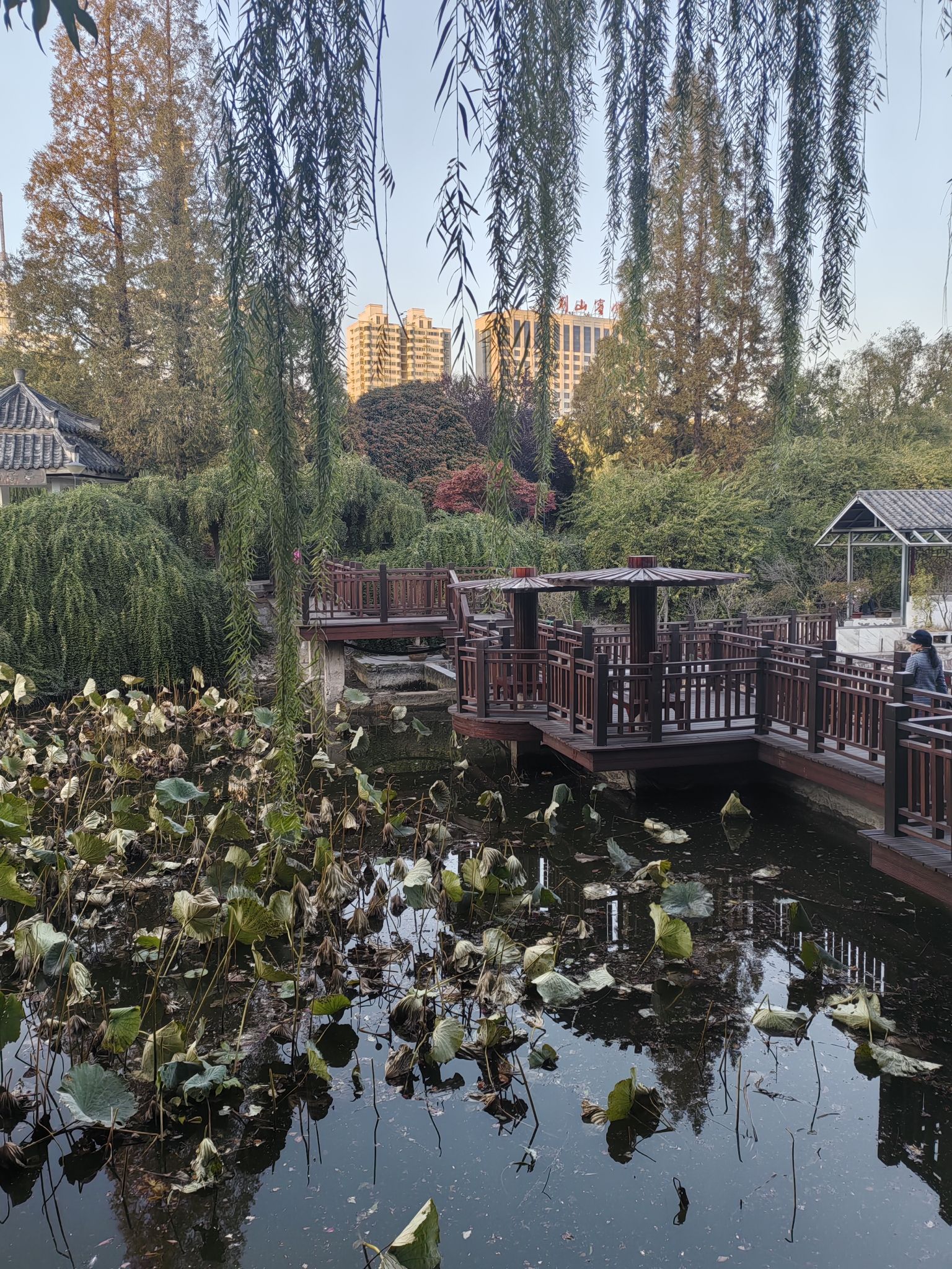 南阳卢园旅行图片 1