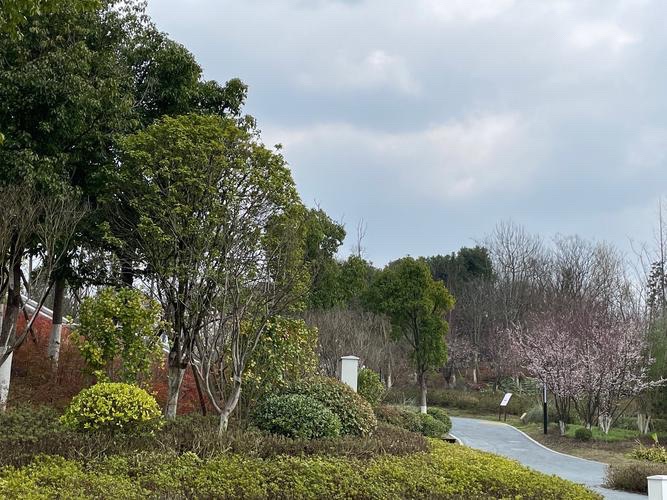 星月湖公园旅行图片 1
