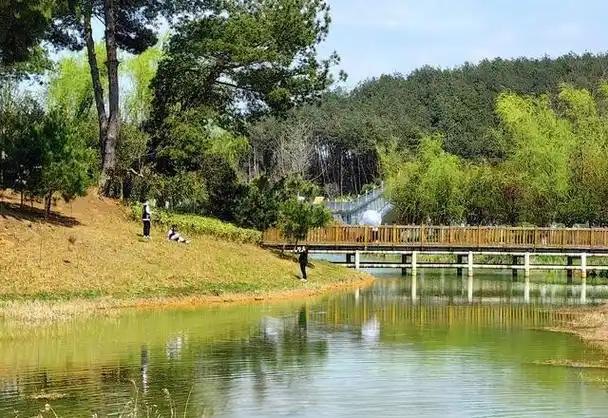 星月湖公园旅行图片 3