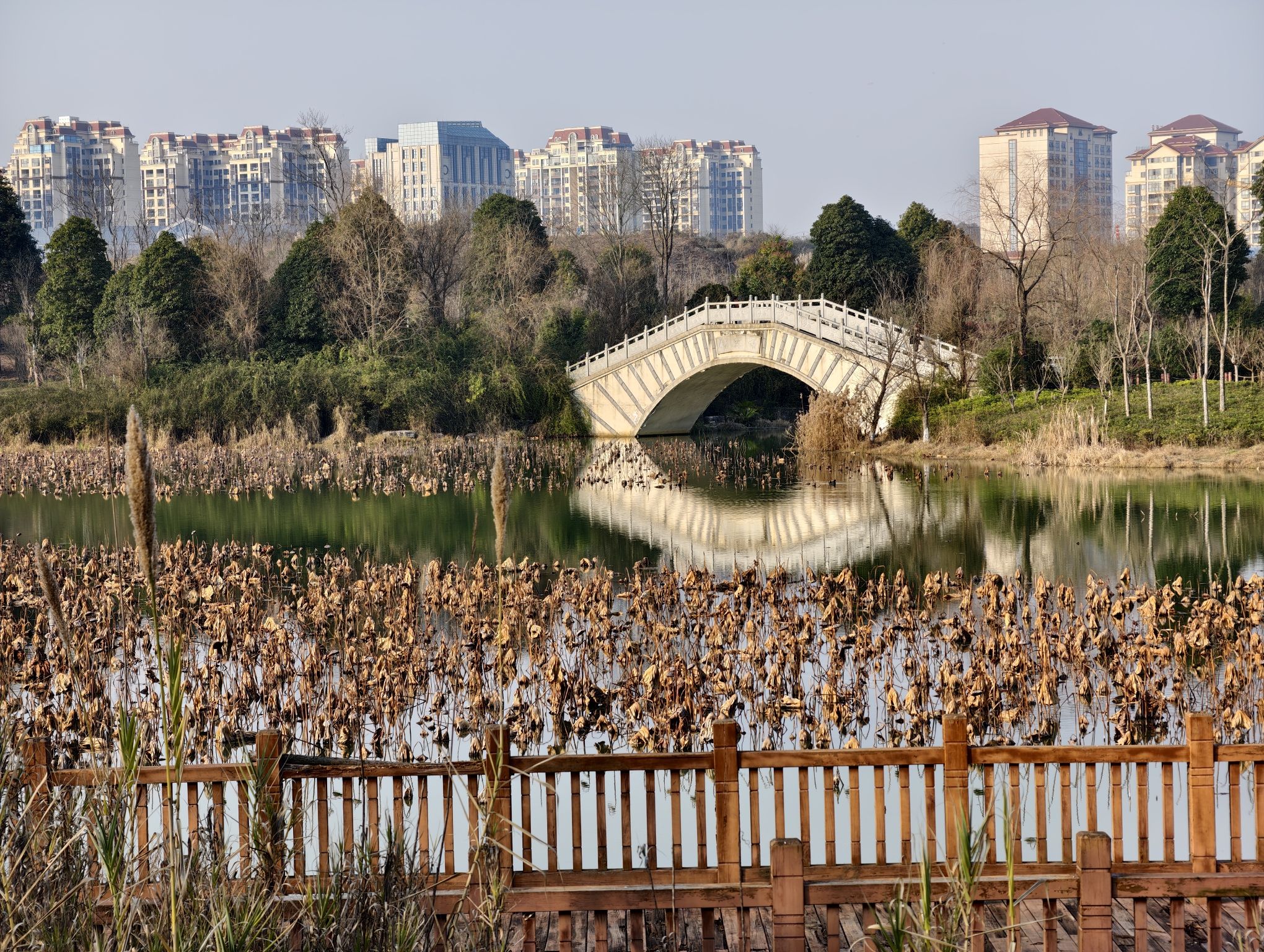 星月湖公园旅行图片 1