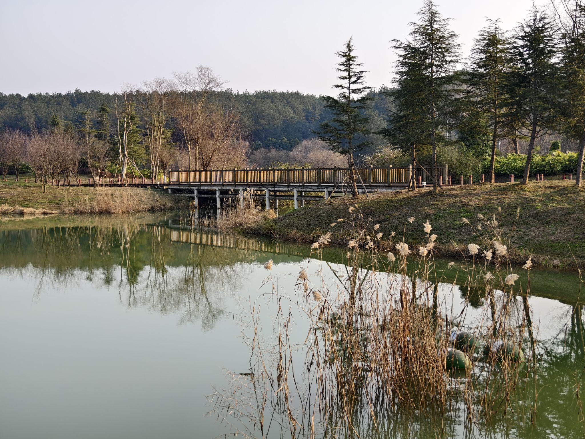 星月湖公园旅行图片 2
