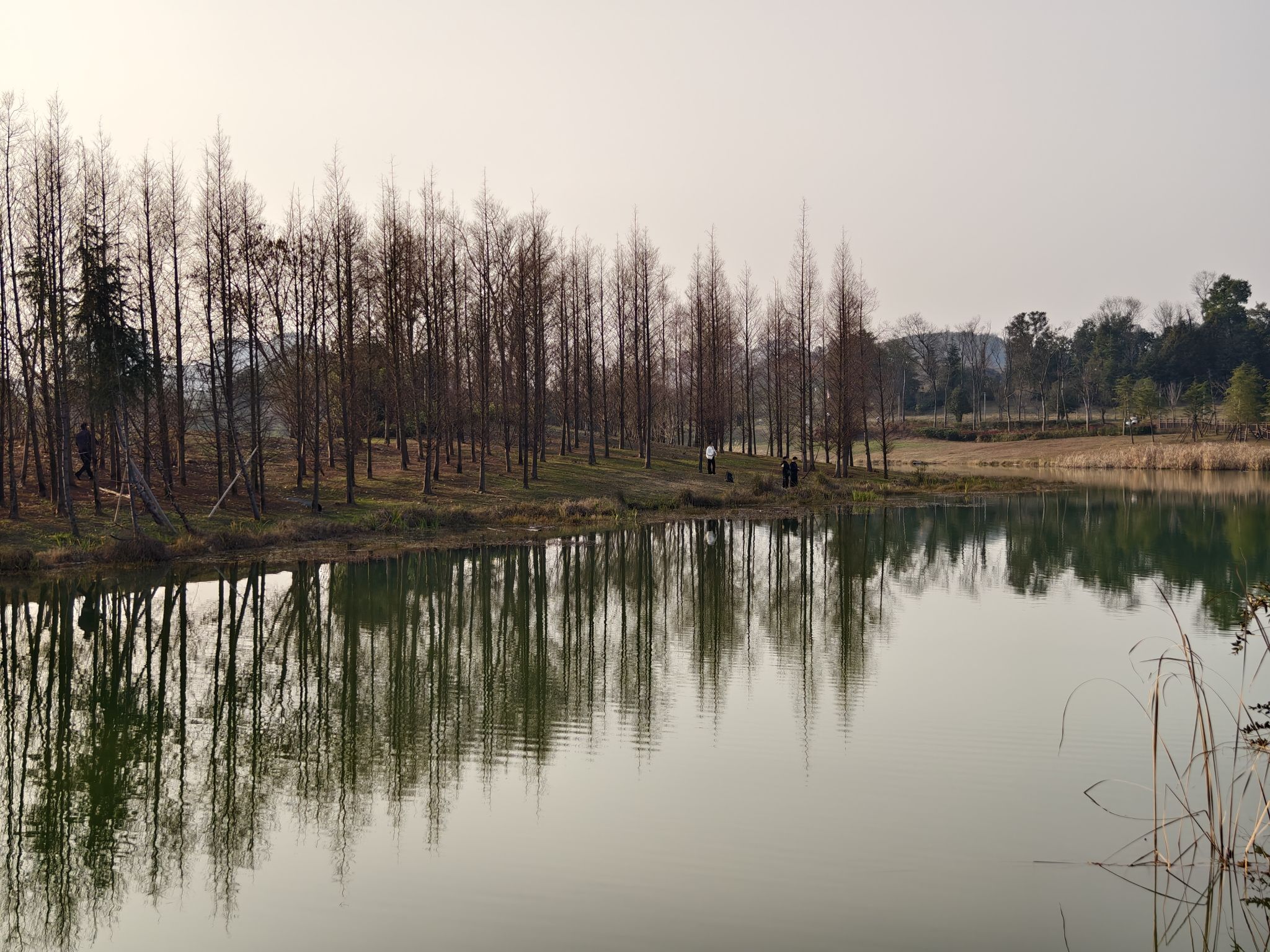 星月湖公园旅行图片 3