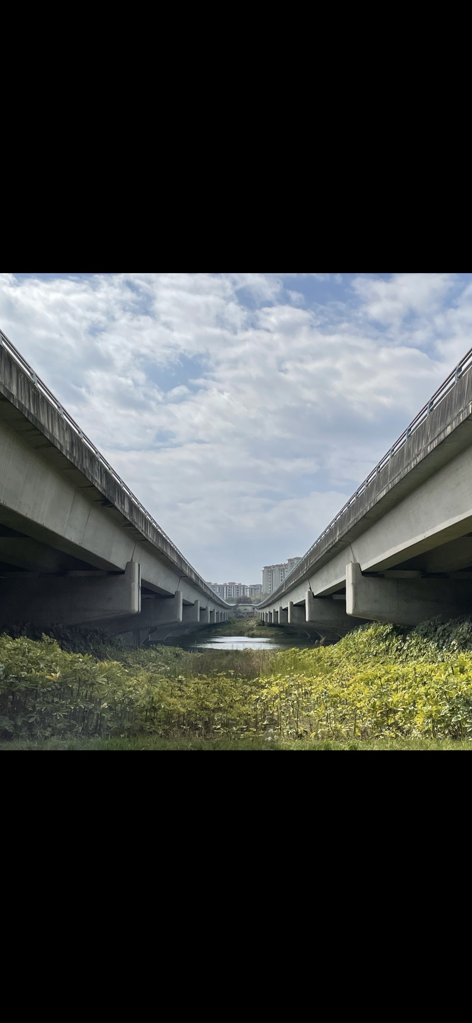 星月湖公园旅行图片 1